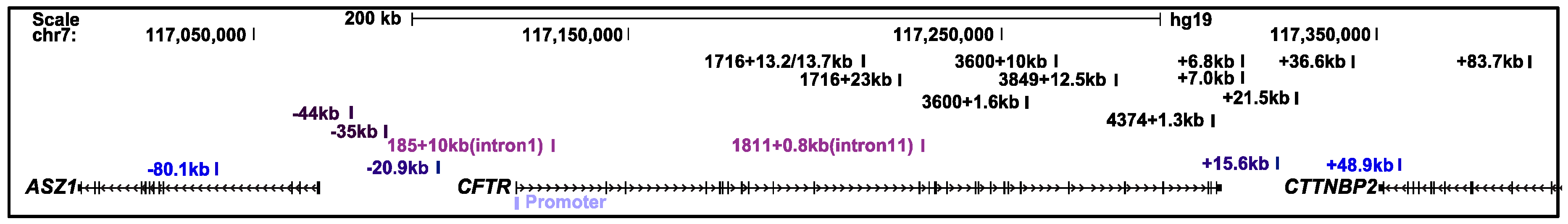 Genes 10 00235 g002 550