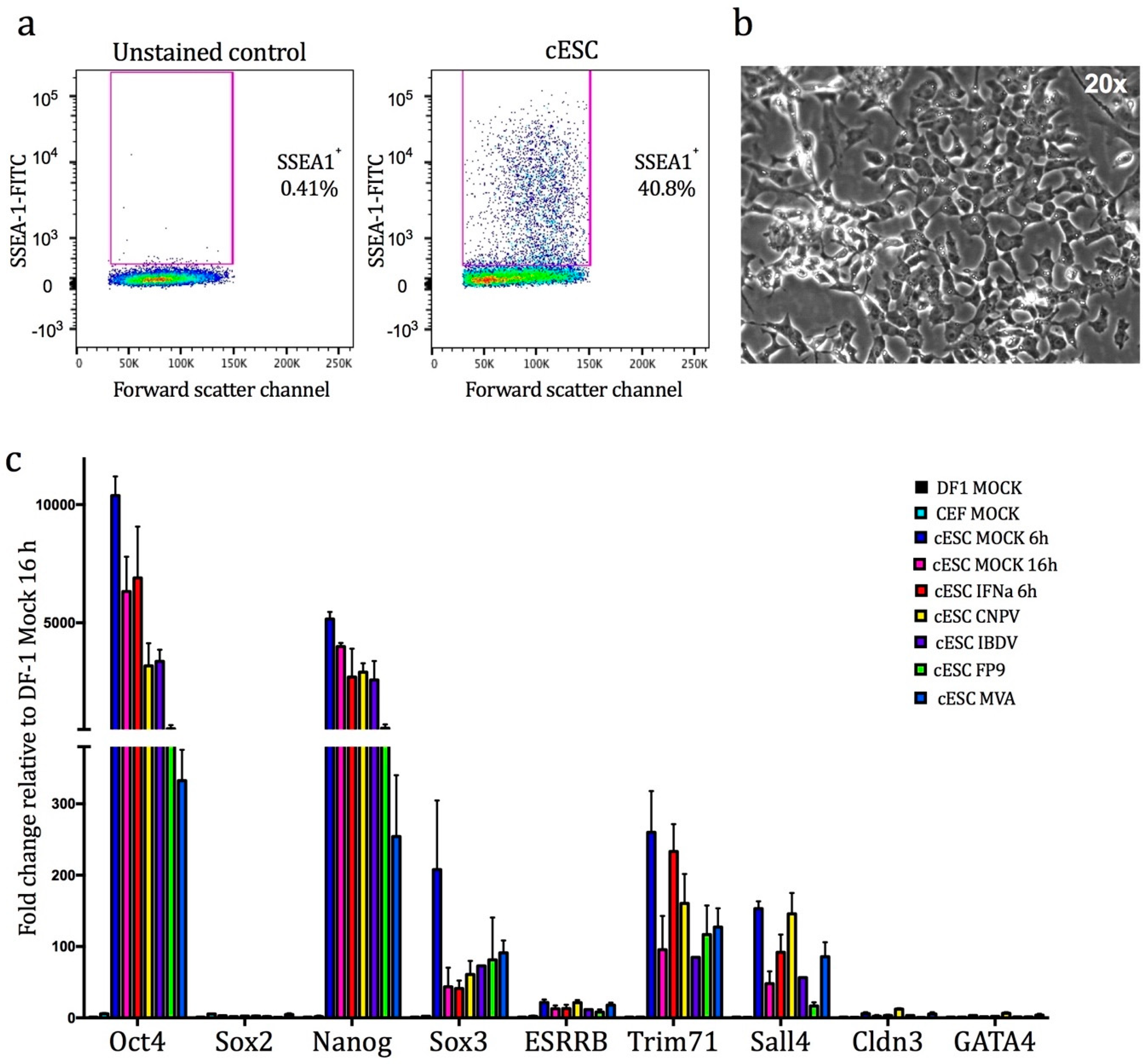 Genes 10 00237 g001