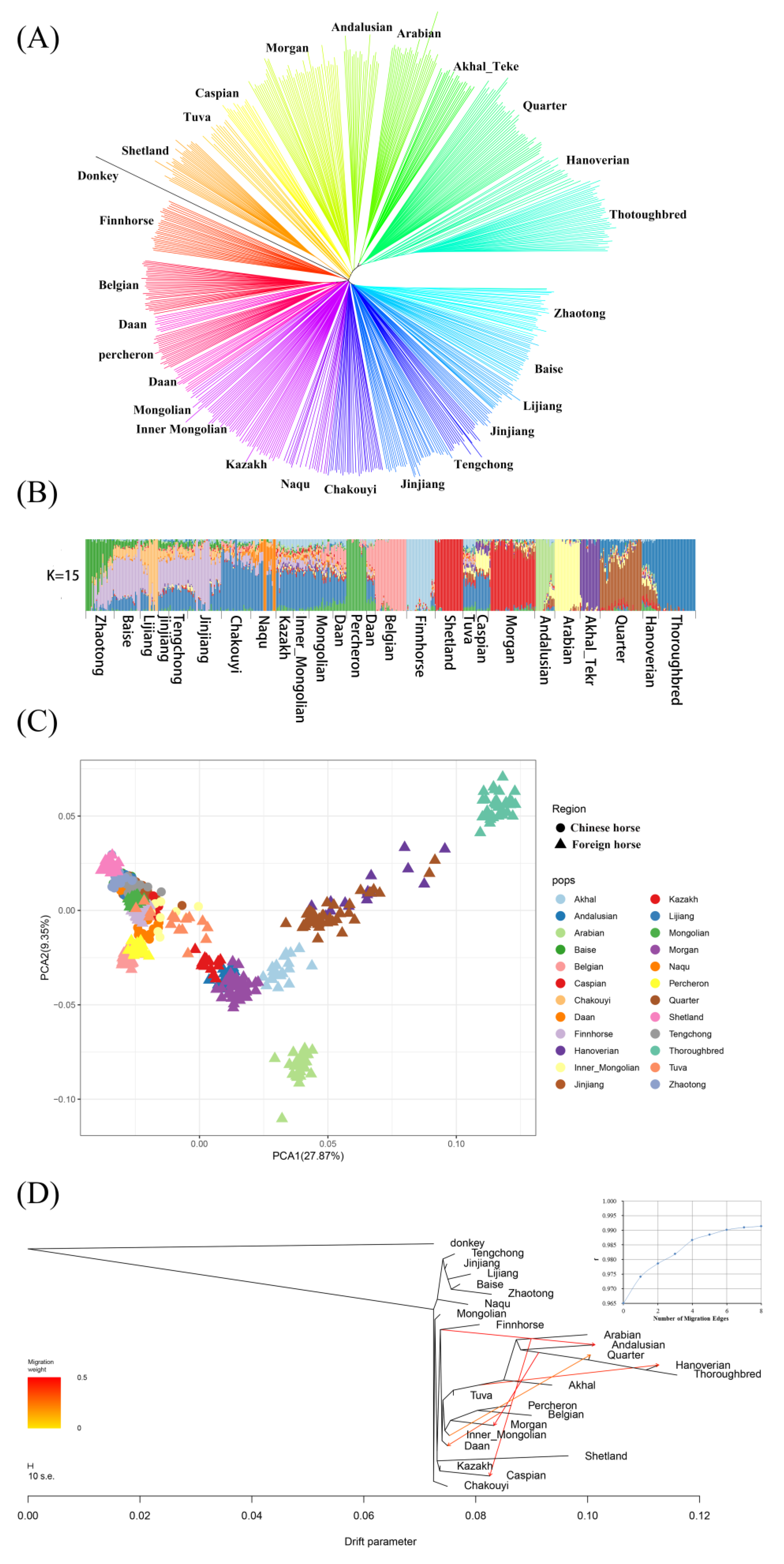 Genes 10 00241 g002