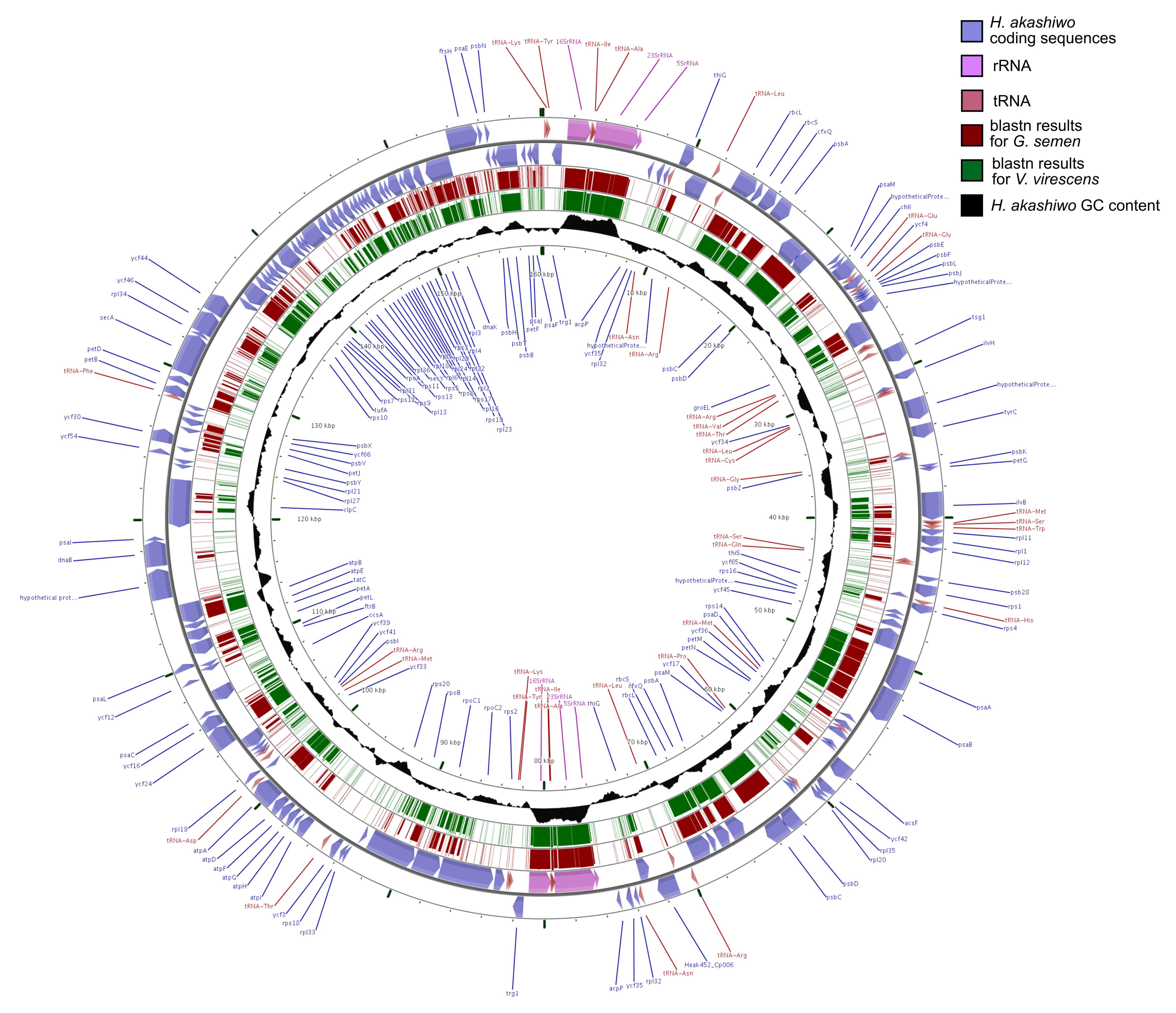 Genes 10 00245 g001 550