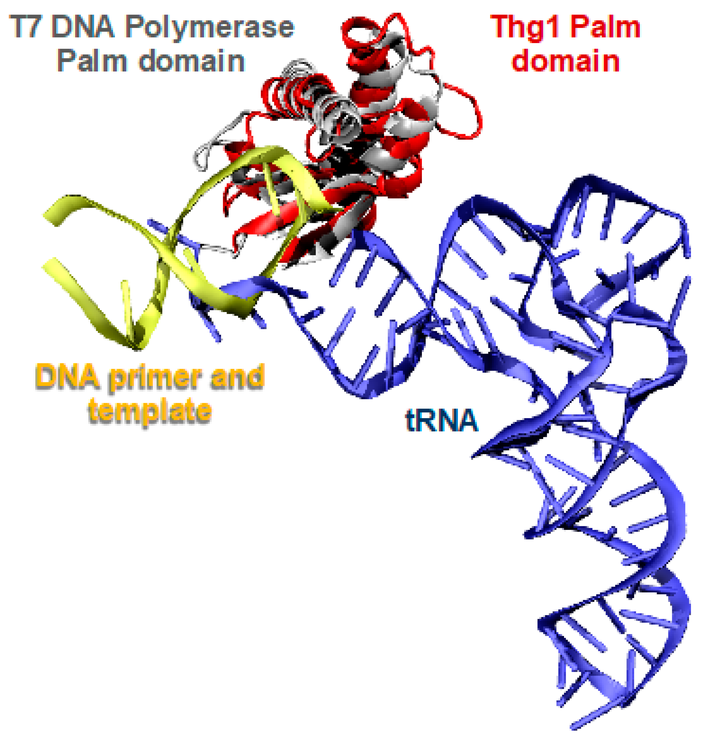 Genes 10 00250 g003 550