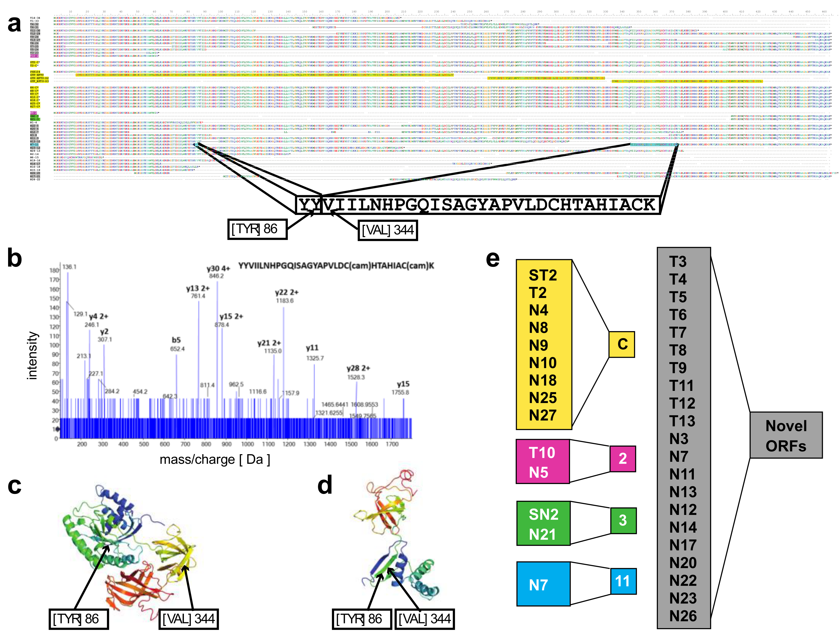 Genes 10 00253 g003 550