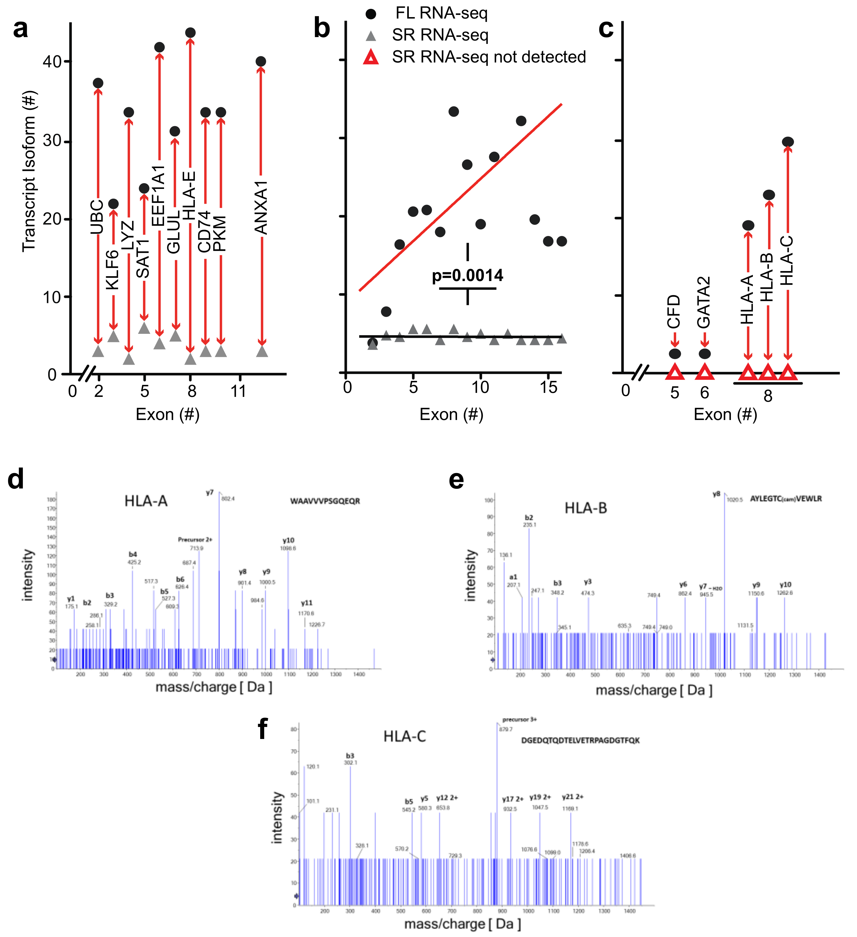 Genes 10 00253 g005 550