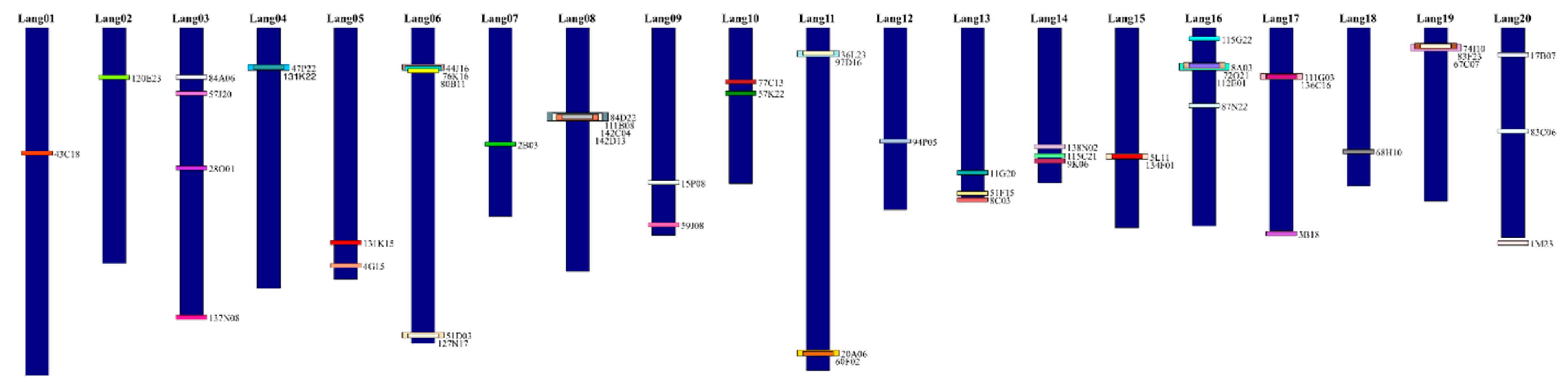 Genes 10 00259 g002