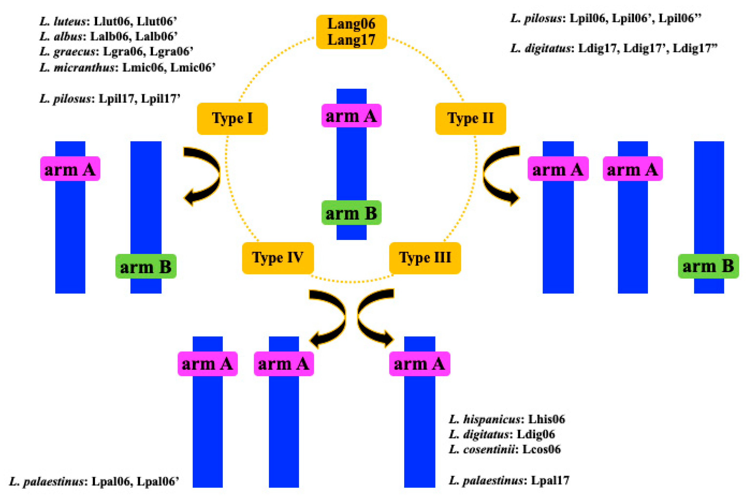 Genes 10 00259 g006
