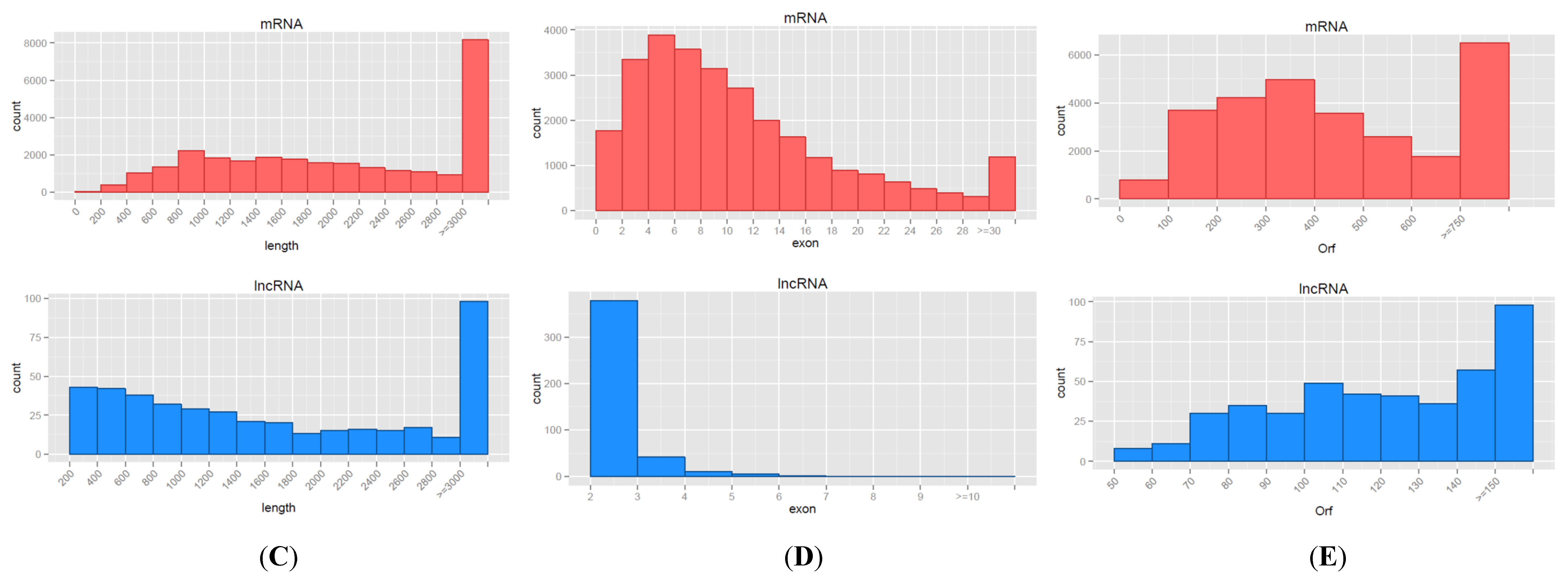 Genes 10 00266 g002b 550