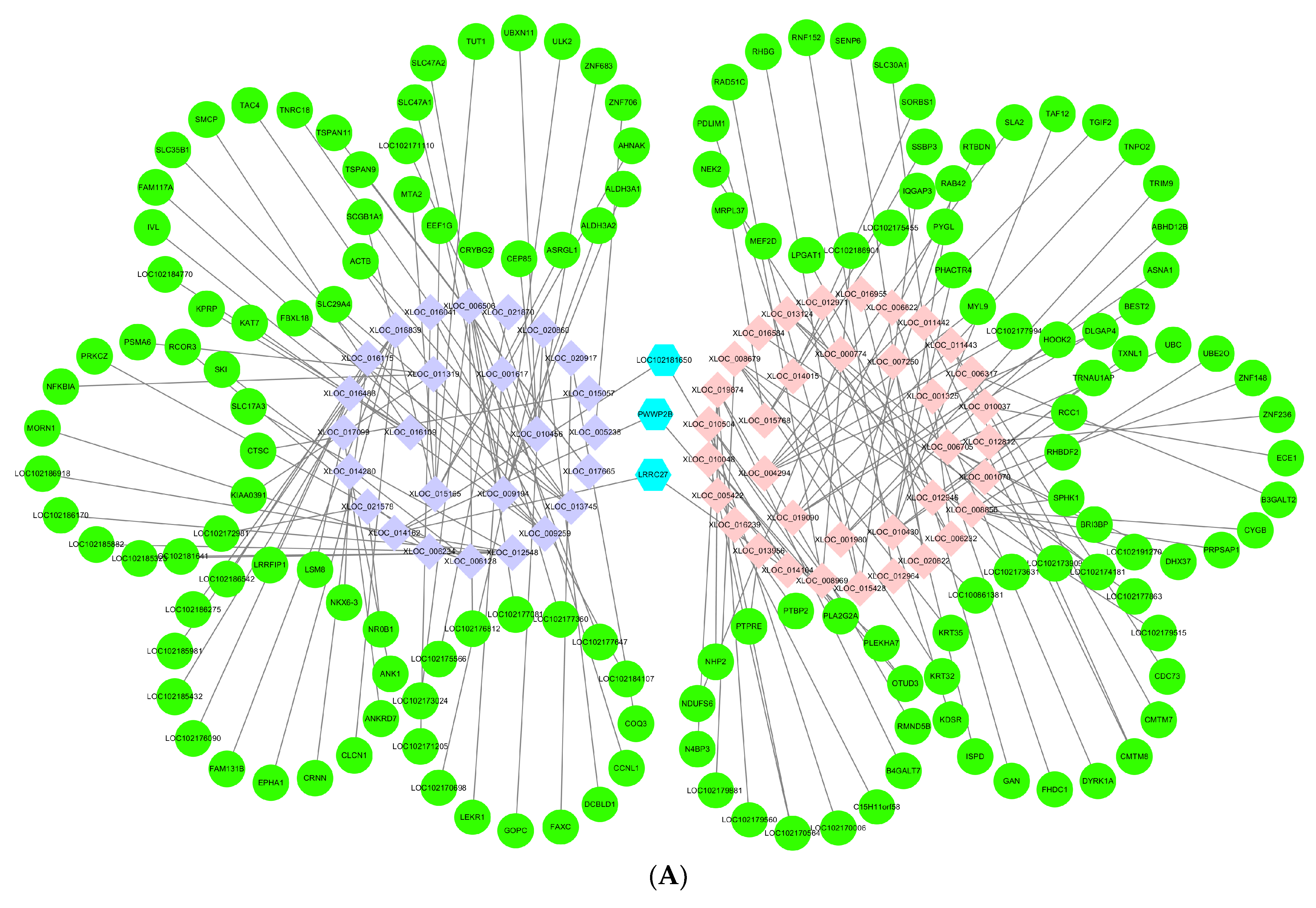 Genes 10 00266 g006a 550