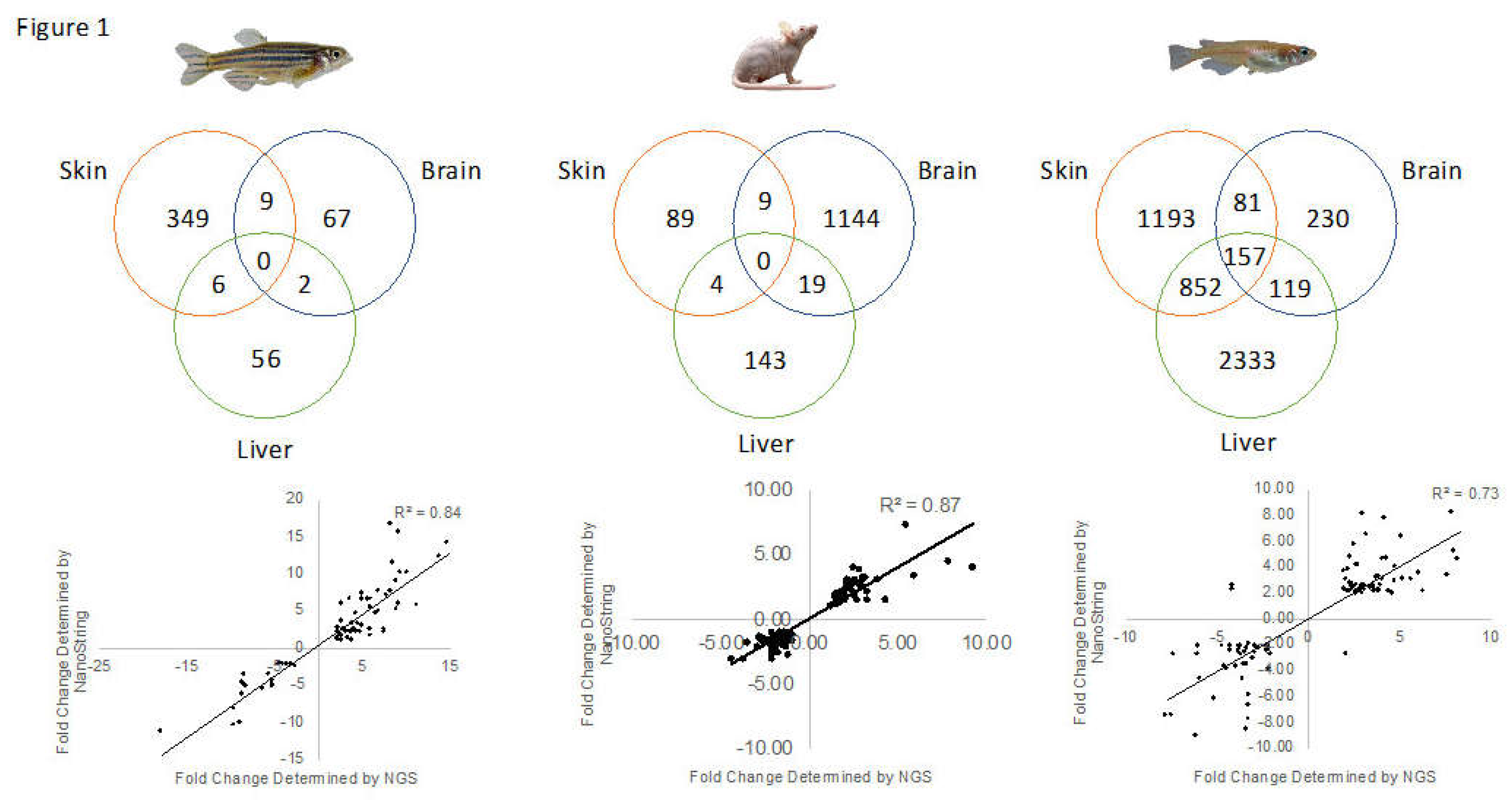 Genes 10 00271 g001