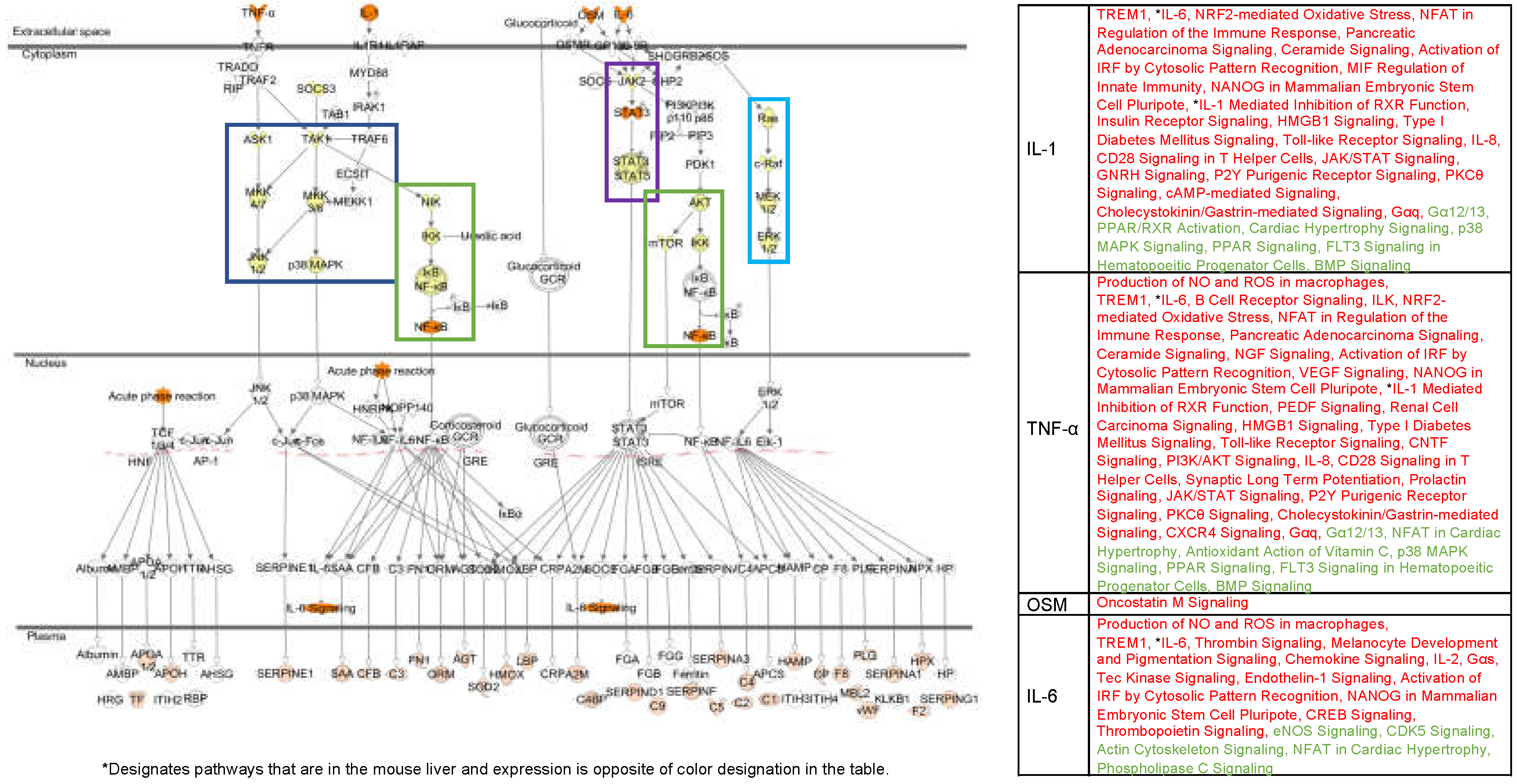 Genes 10 00271 g002