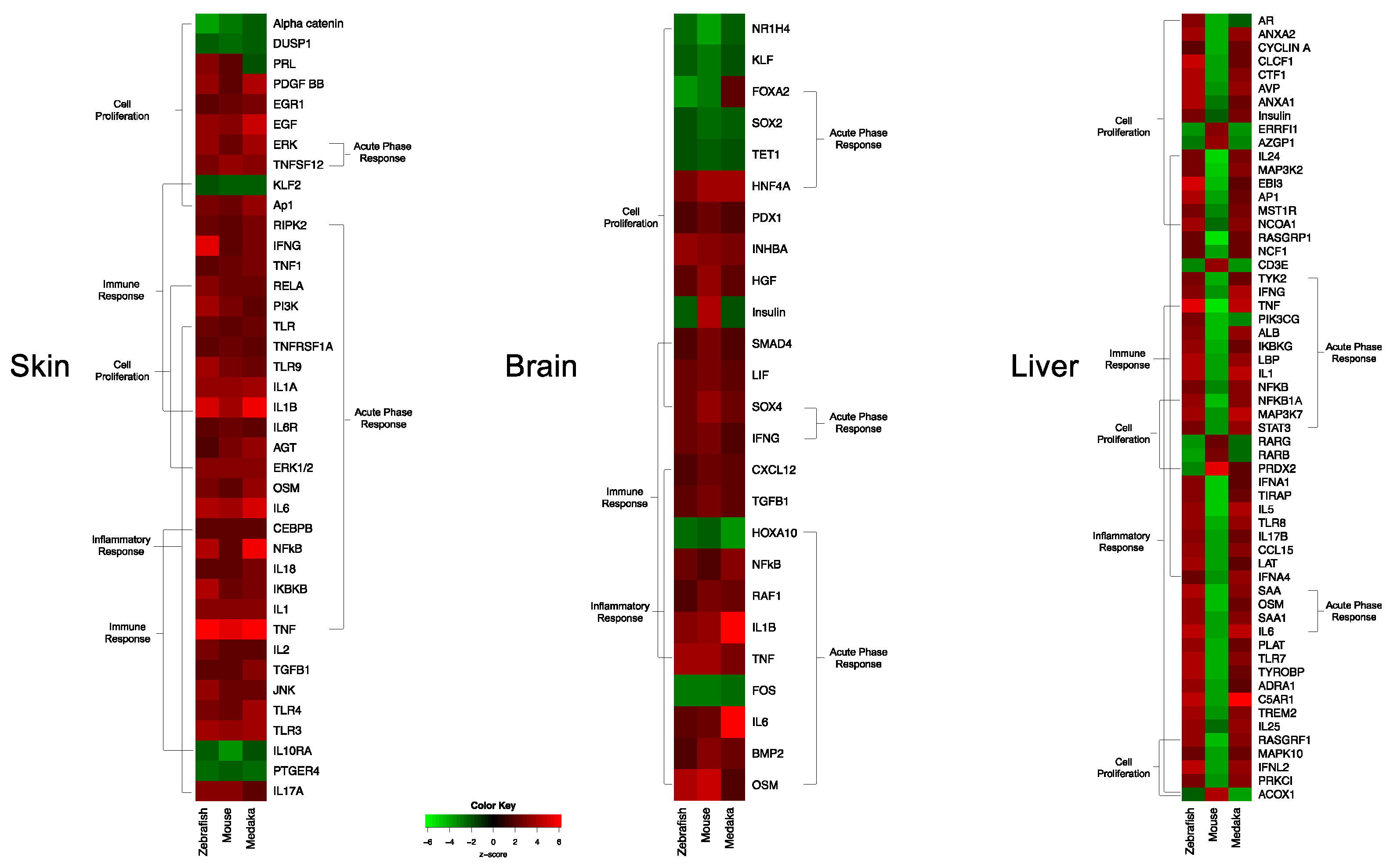 Genes 10 00271 g007