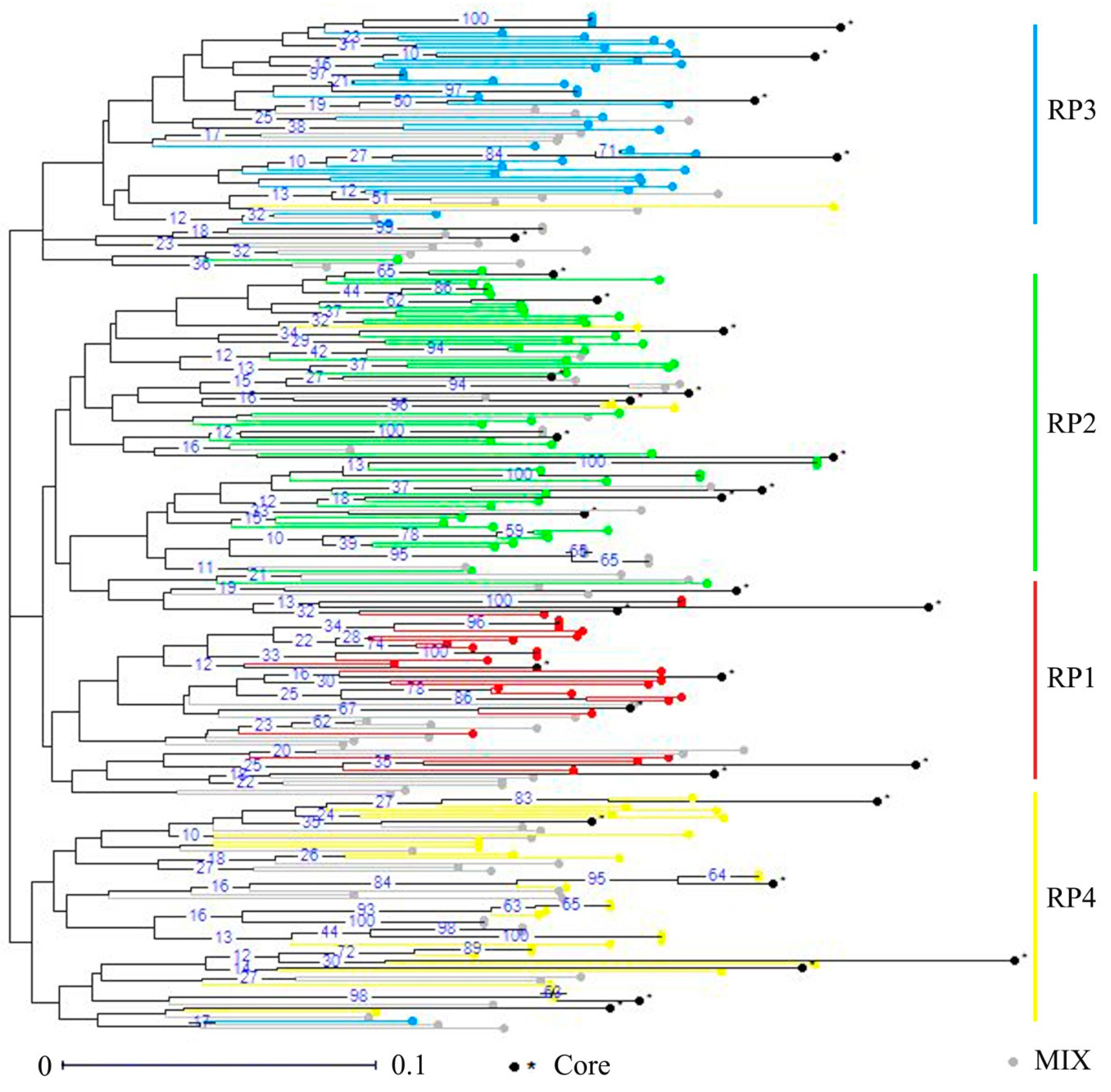 Genes 10 00281 g004 550