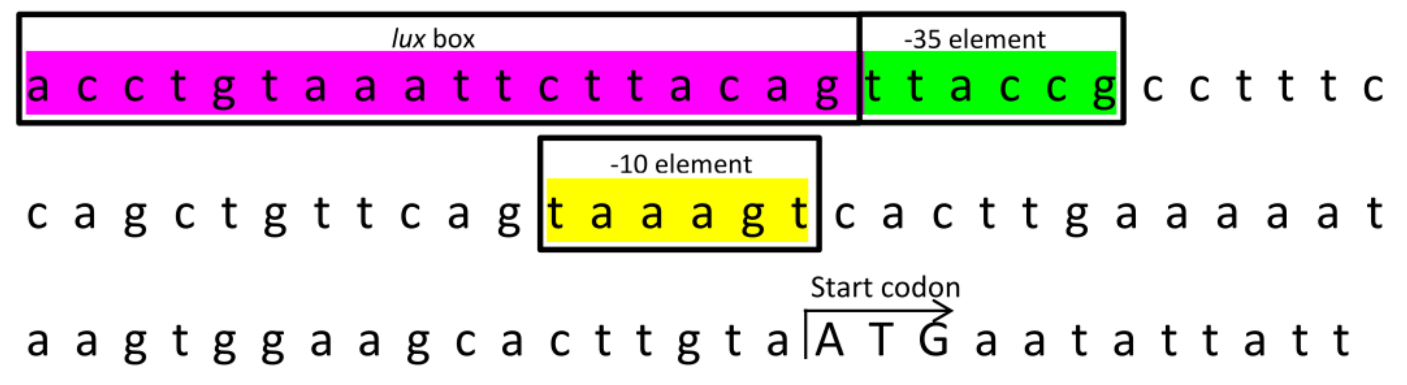 Genes 10 00282 g005 Genes 10 00282 g005