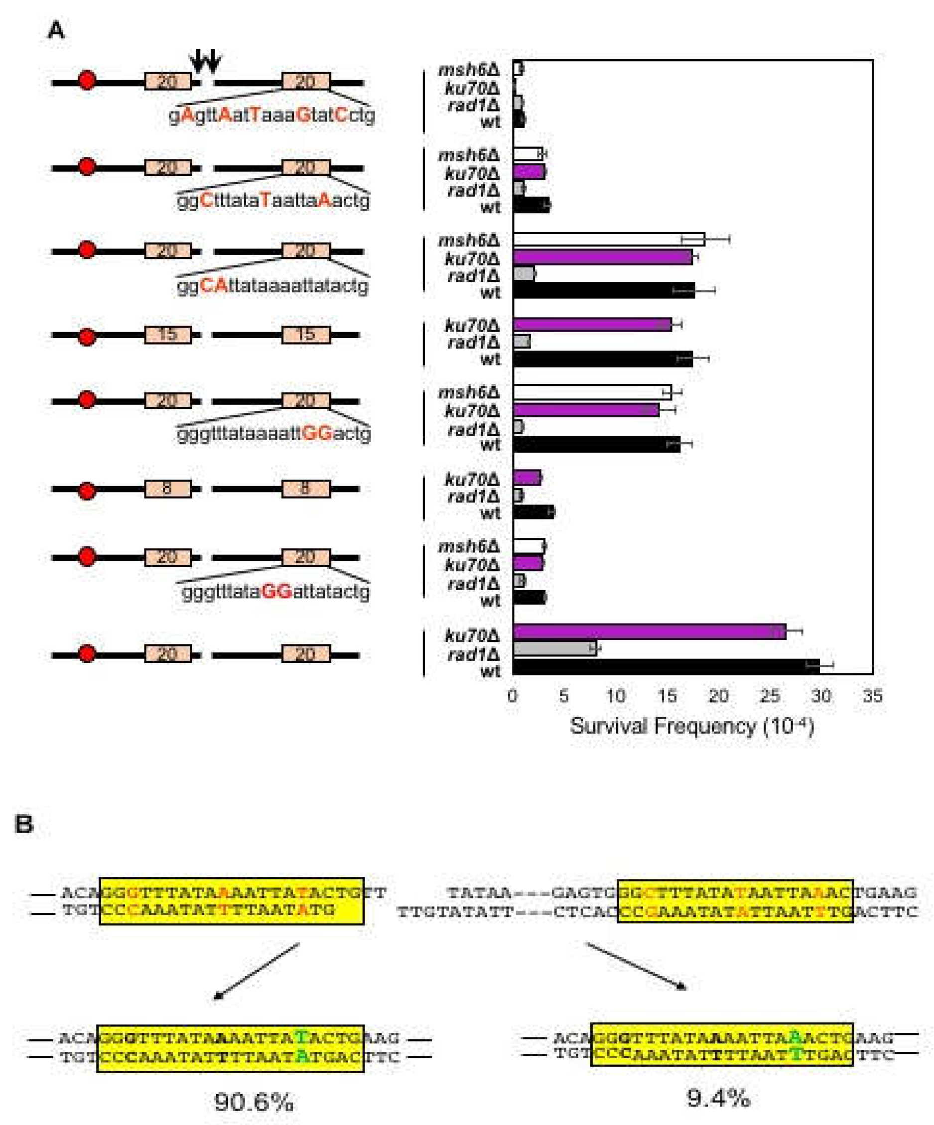 Genes 10 00284 g004 550