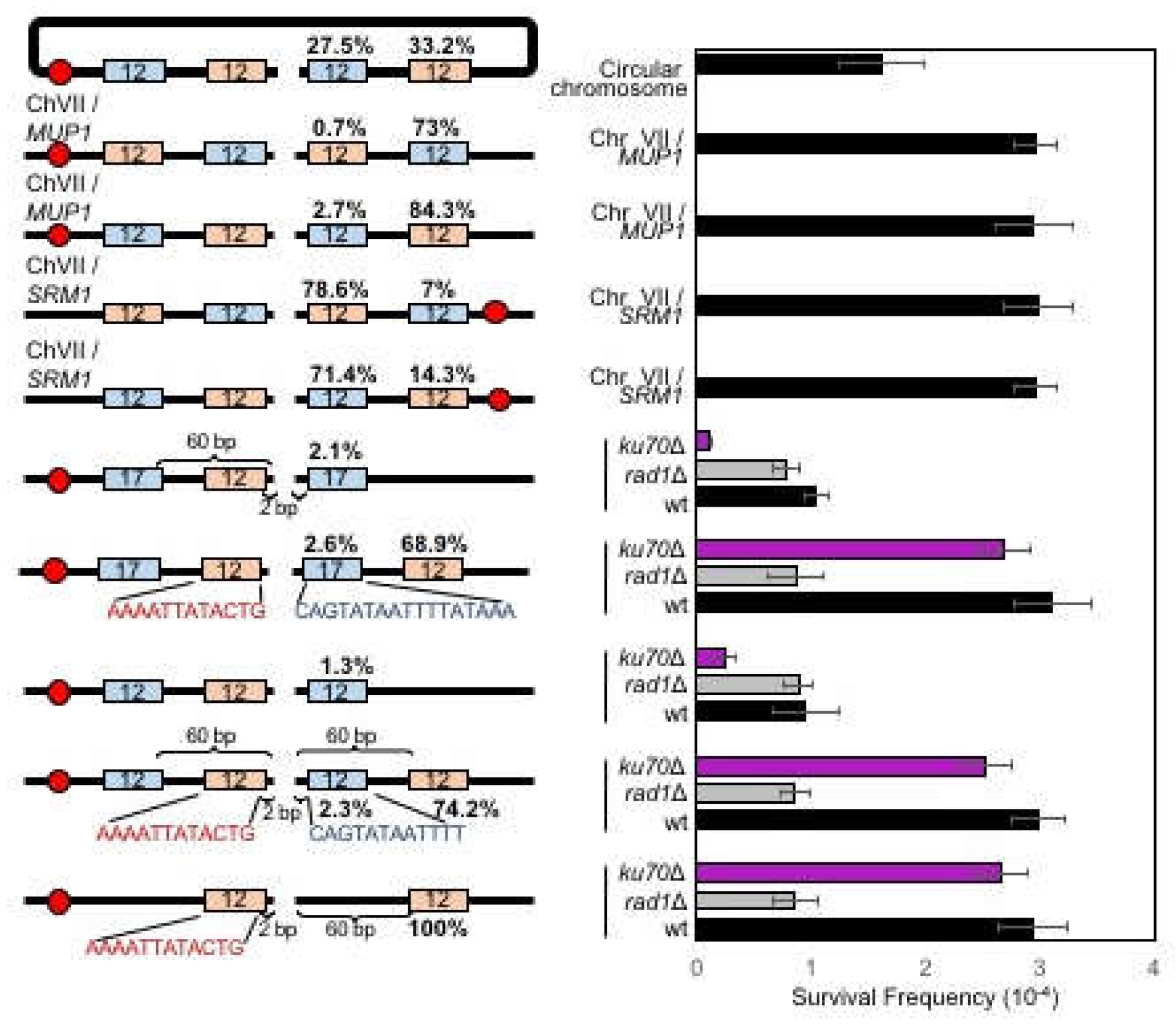 Genes 10 00284 g005 550