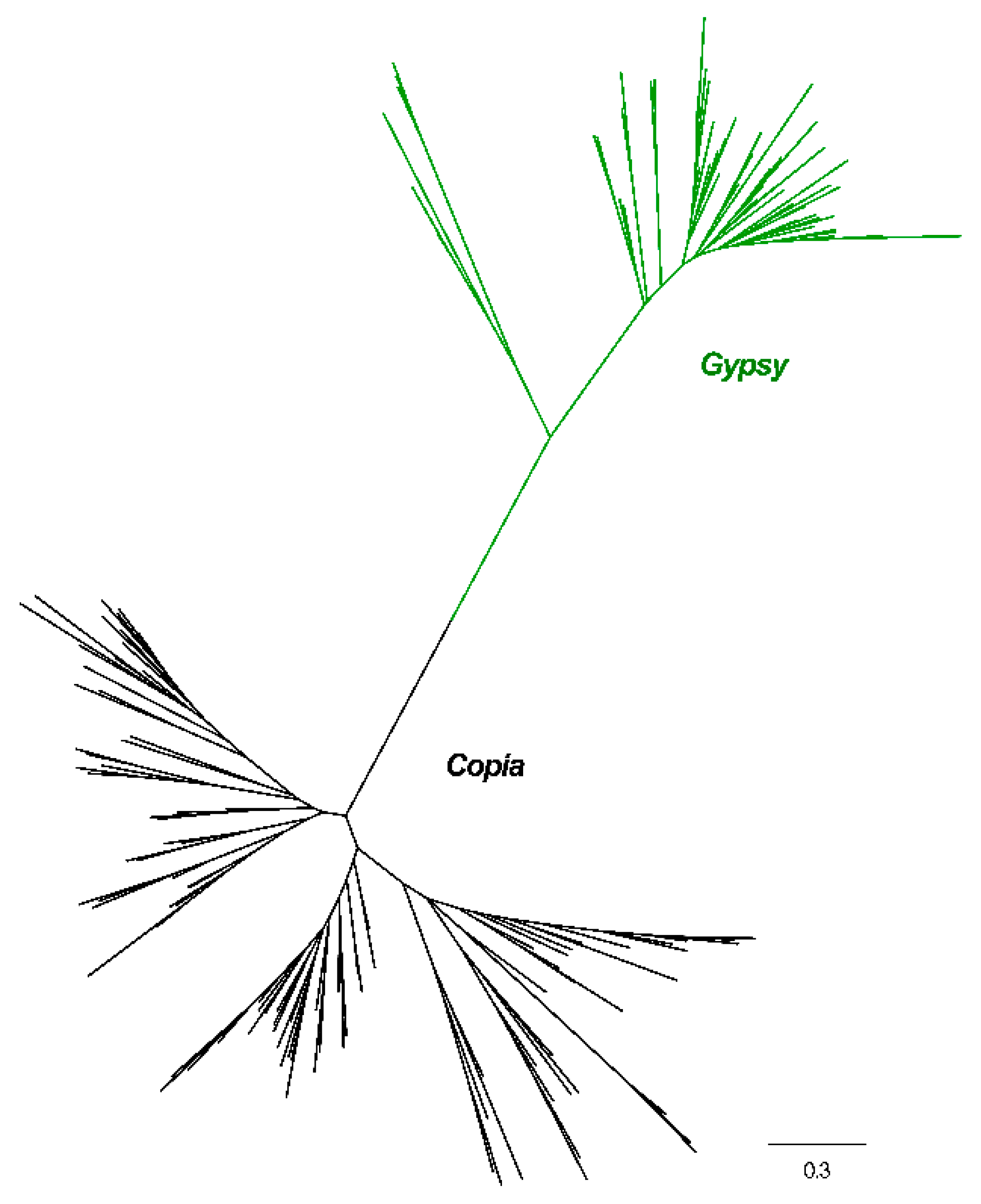 Genes 10 00285 g002
