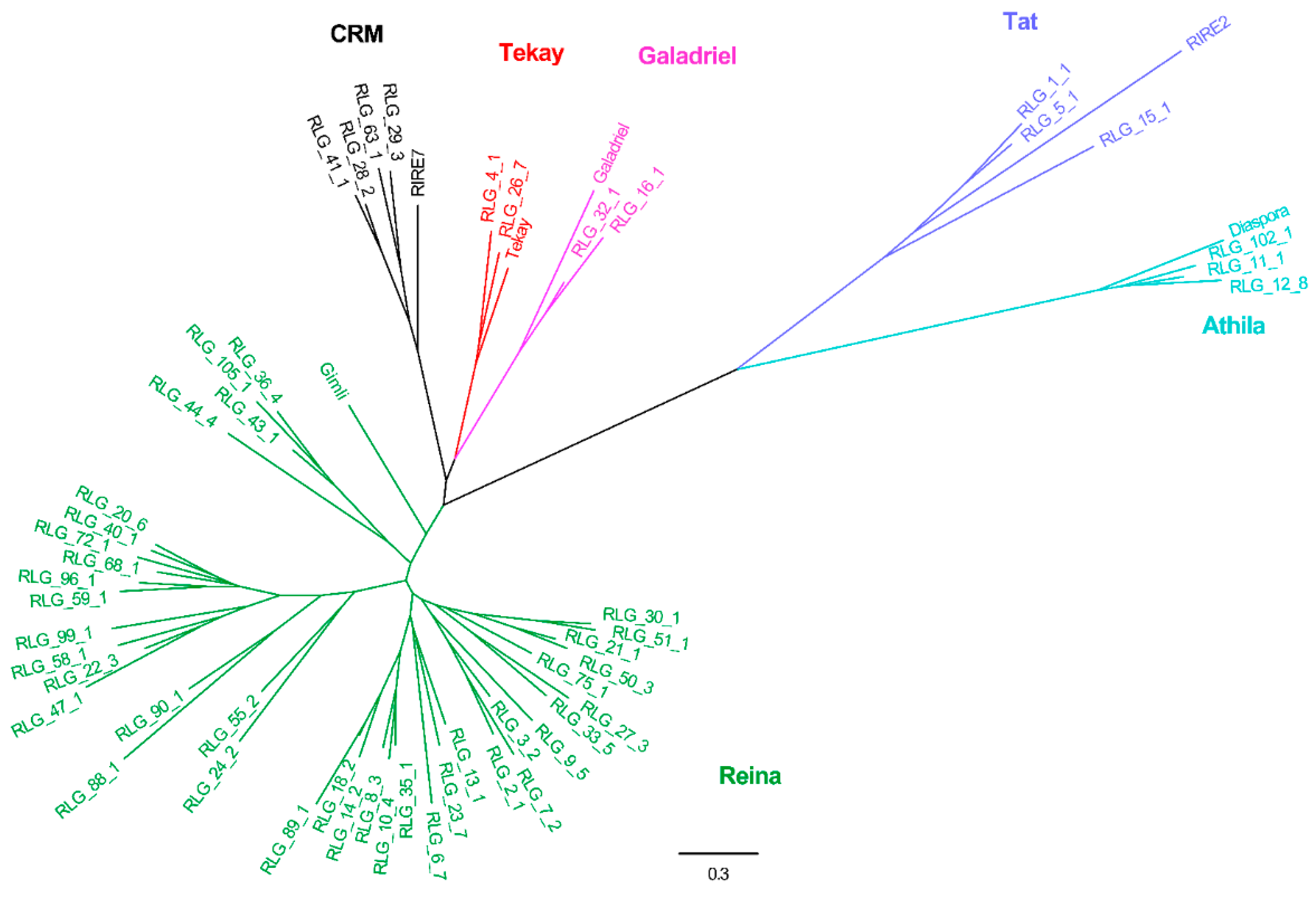 Genes 10 00285 g004