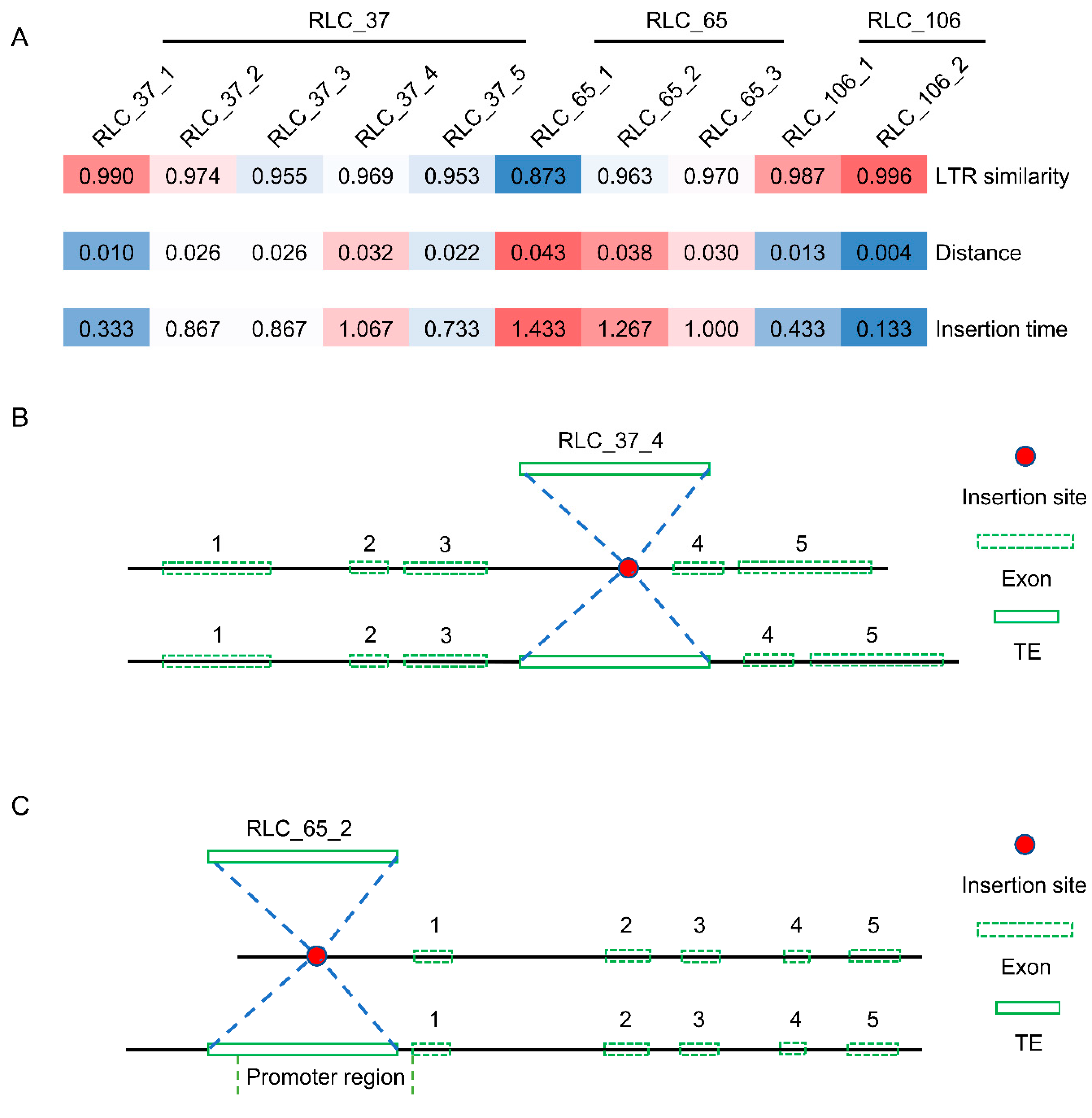 Genes 10 00285 g008