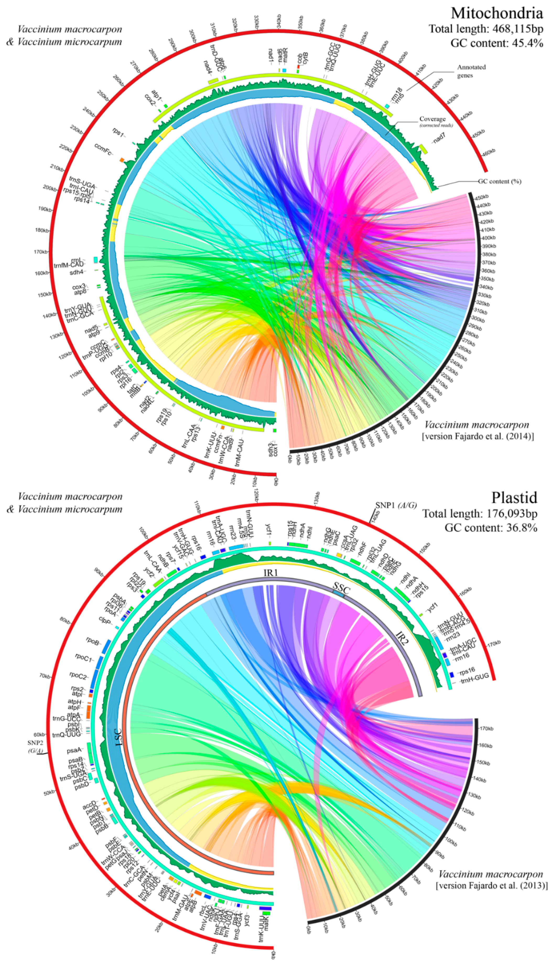 Genes 10 00291 g002