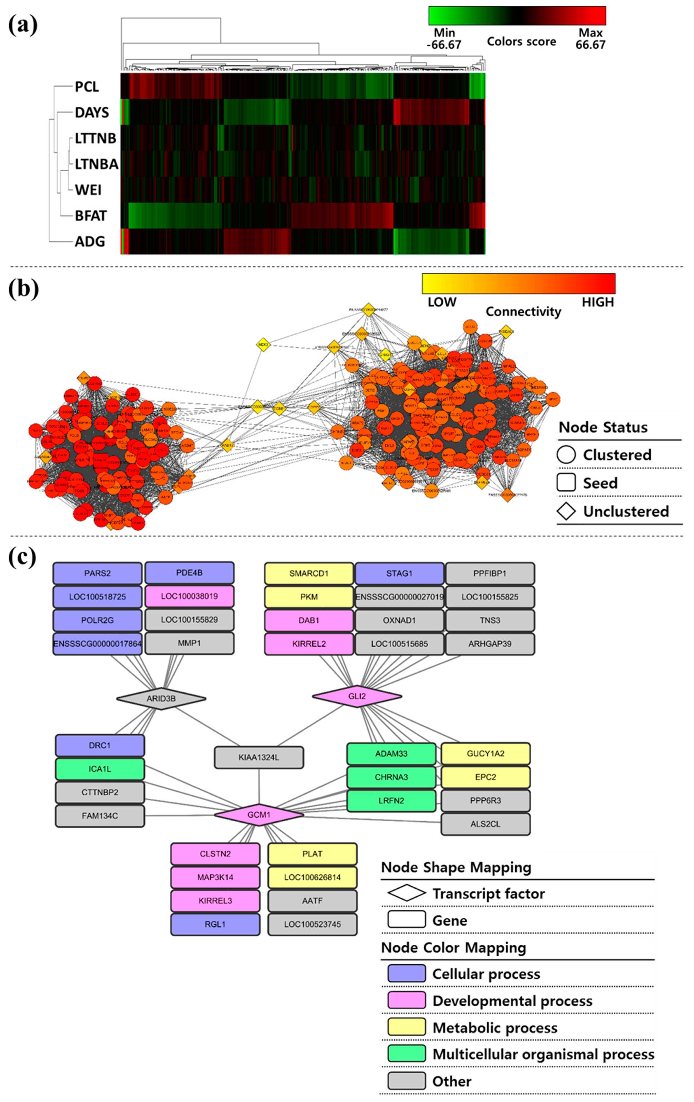 Genes 10 00293 g002