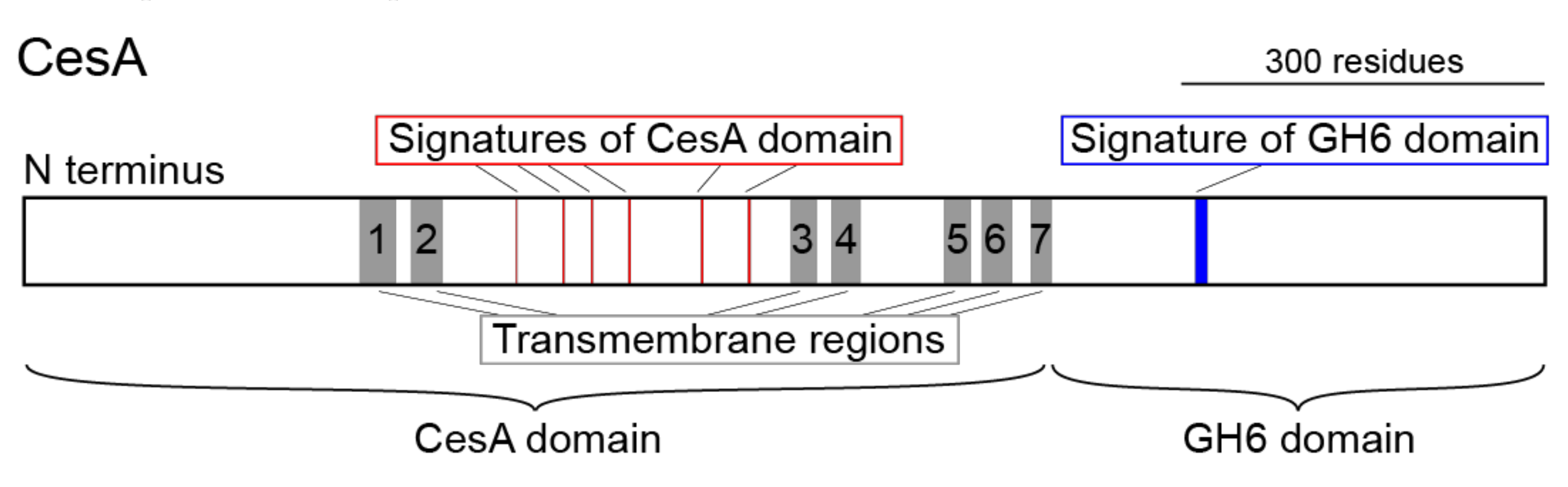Genes 10 00294 g001 Genes 10 00294 g001