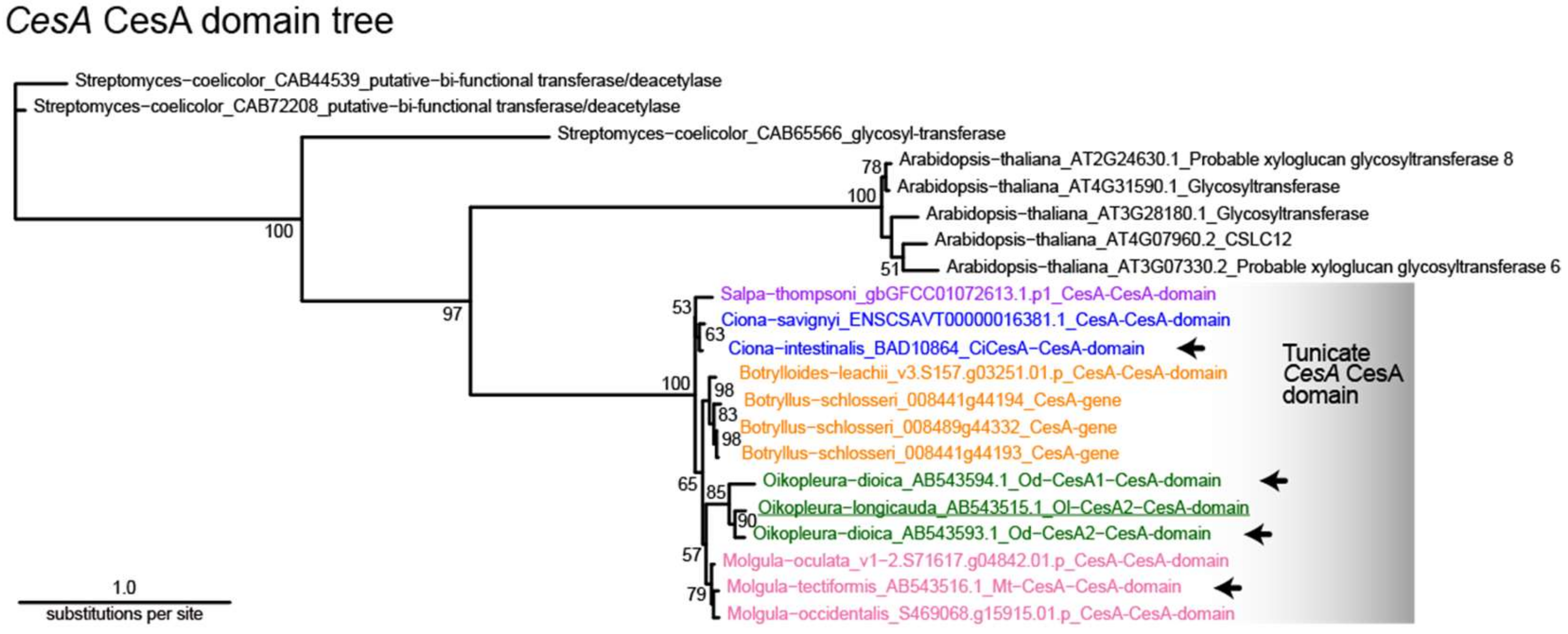 Genes 10 00294 g002 Genes 10 00294 g002