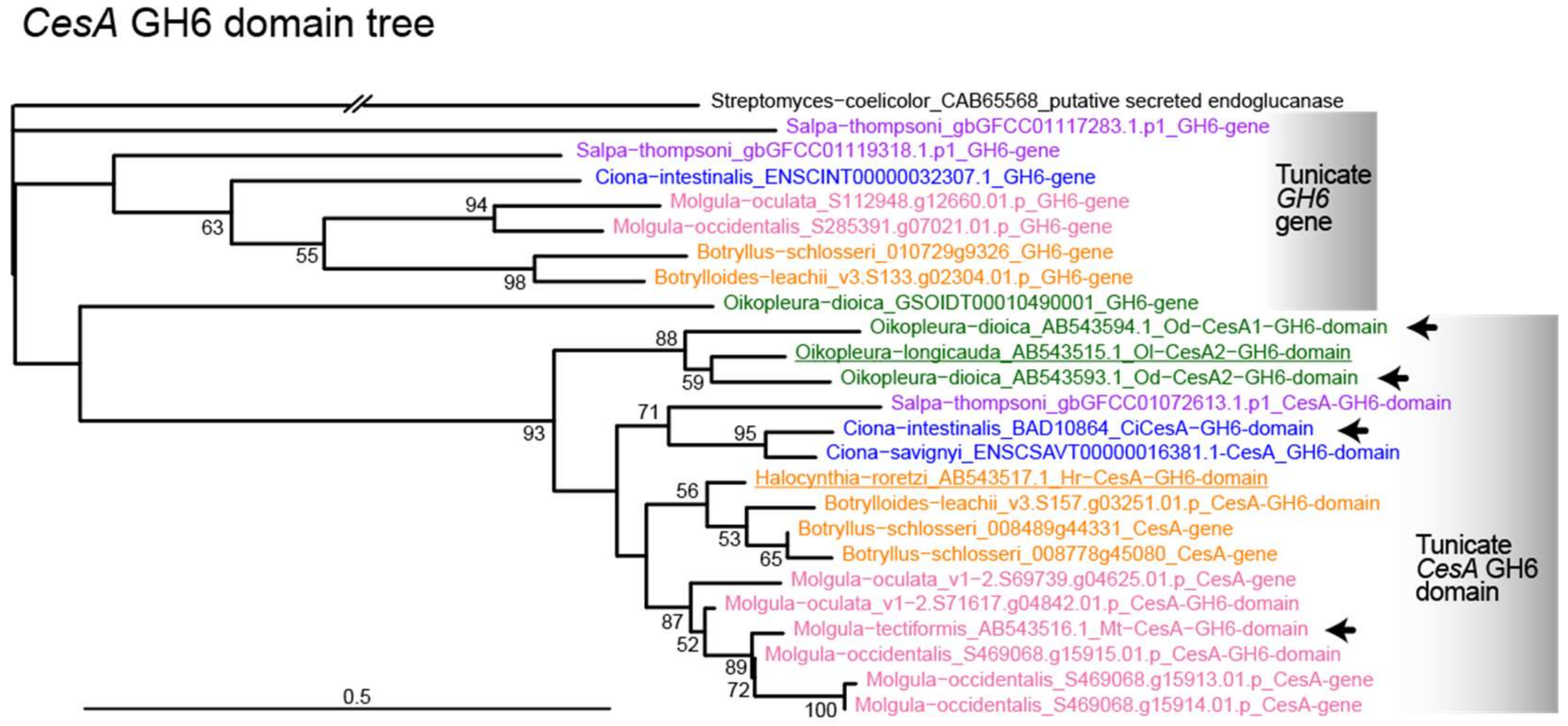 Genes 10 00294 g003 Genes 10 00294 g003