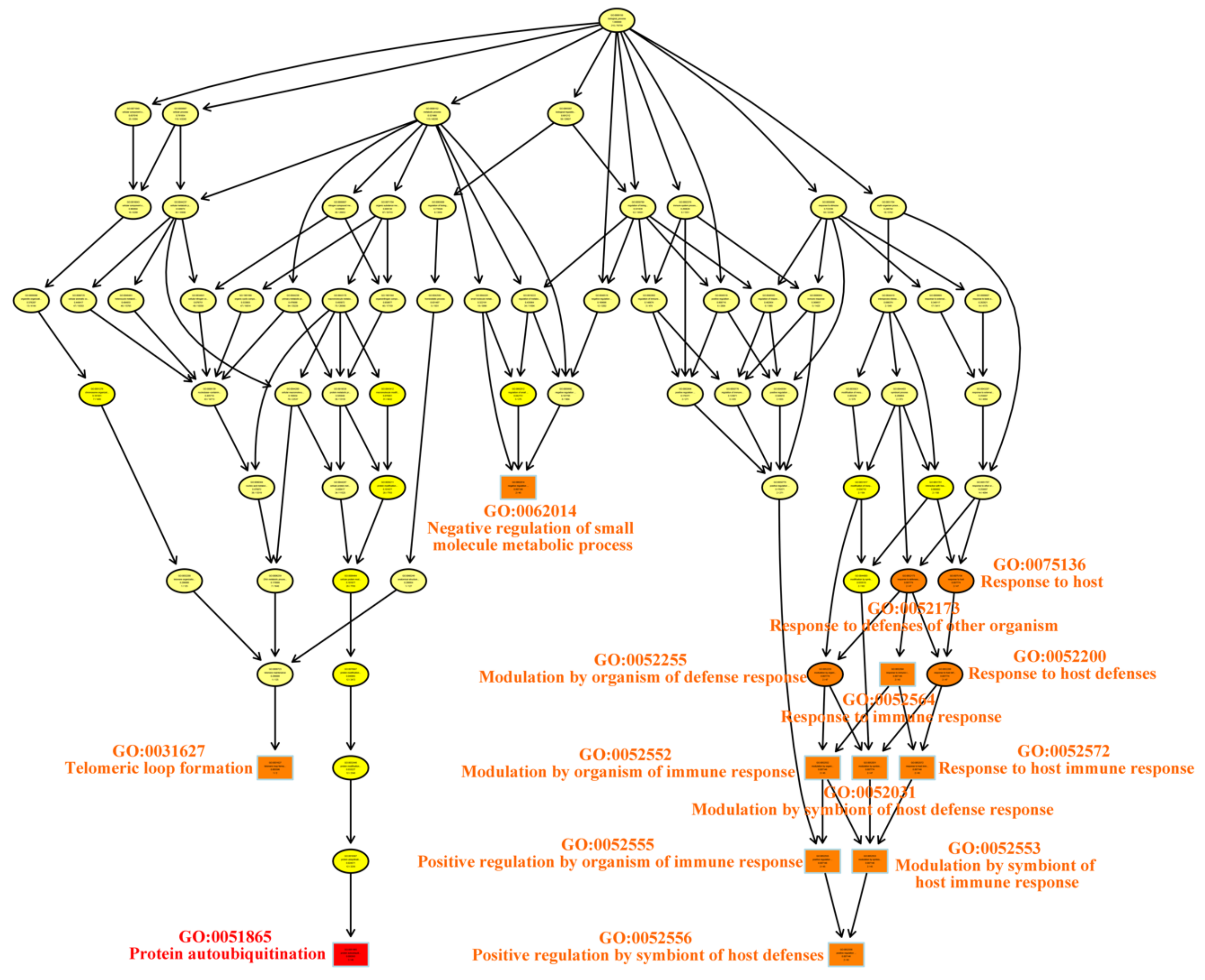 Genes 10 00296 g004