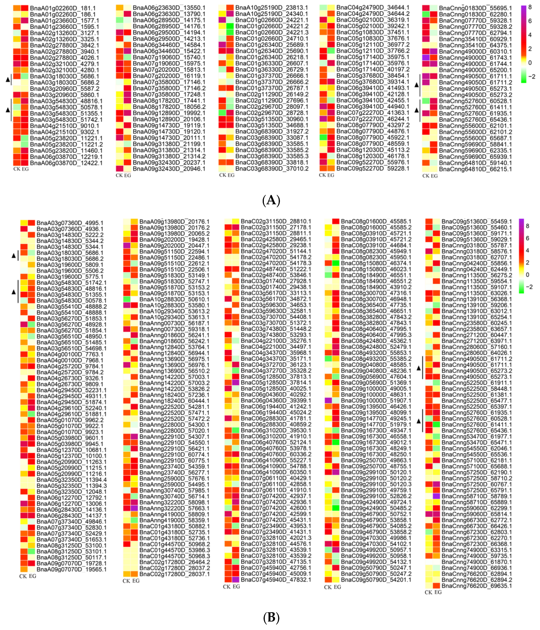 Genes 10 00296 g005