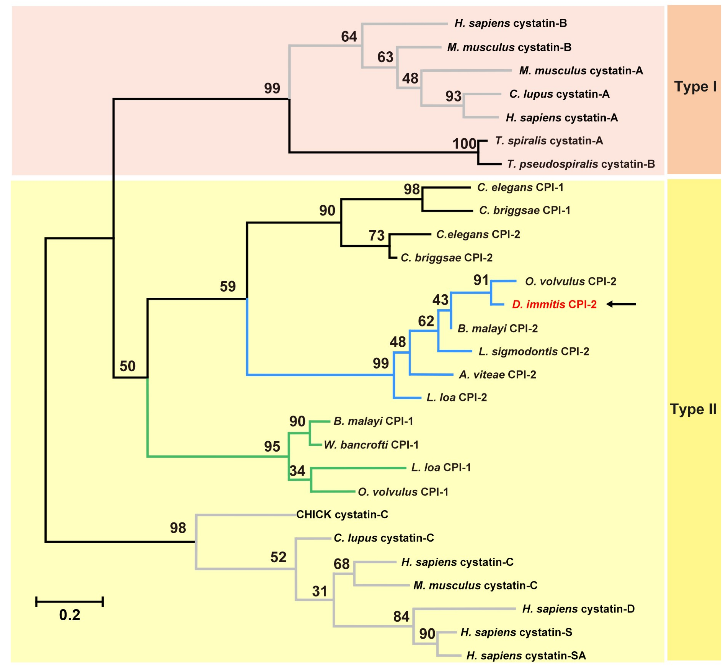 Genes 10 00300 g002 Genes 10 00300 g002