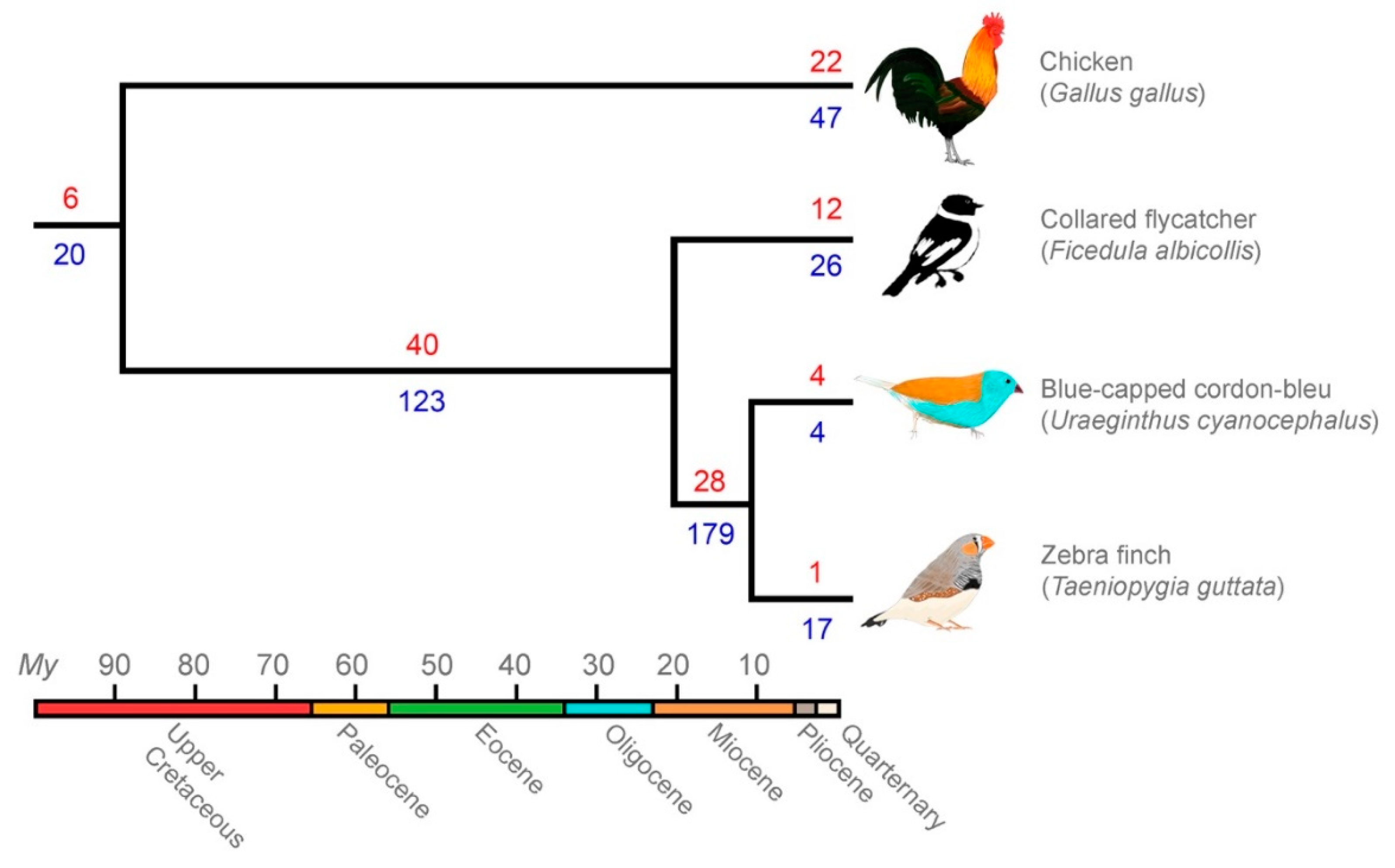 Genes 10 00301 g003