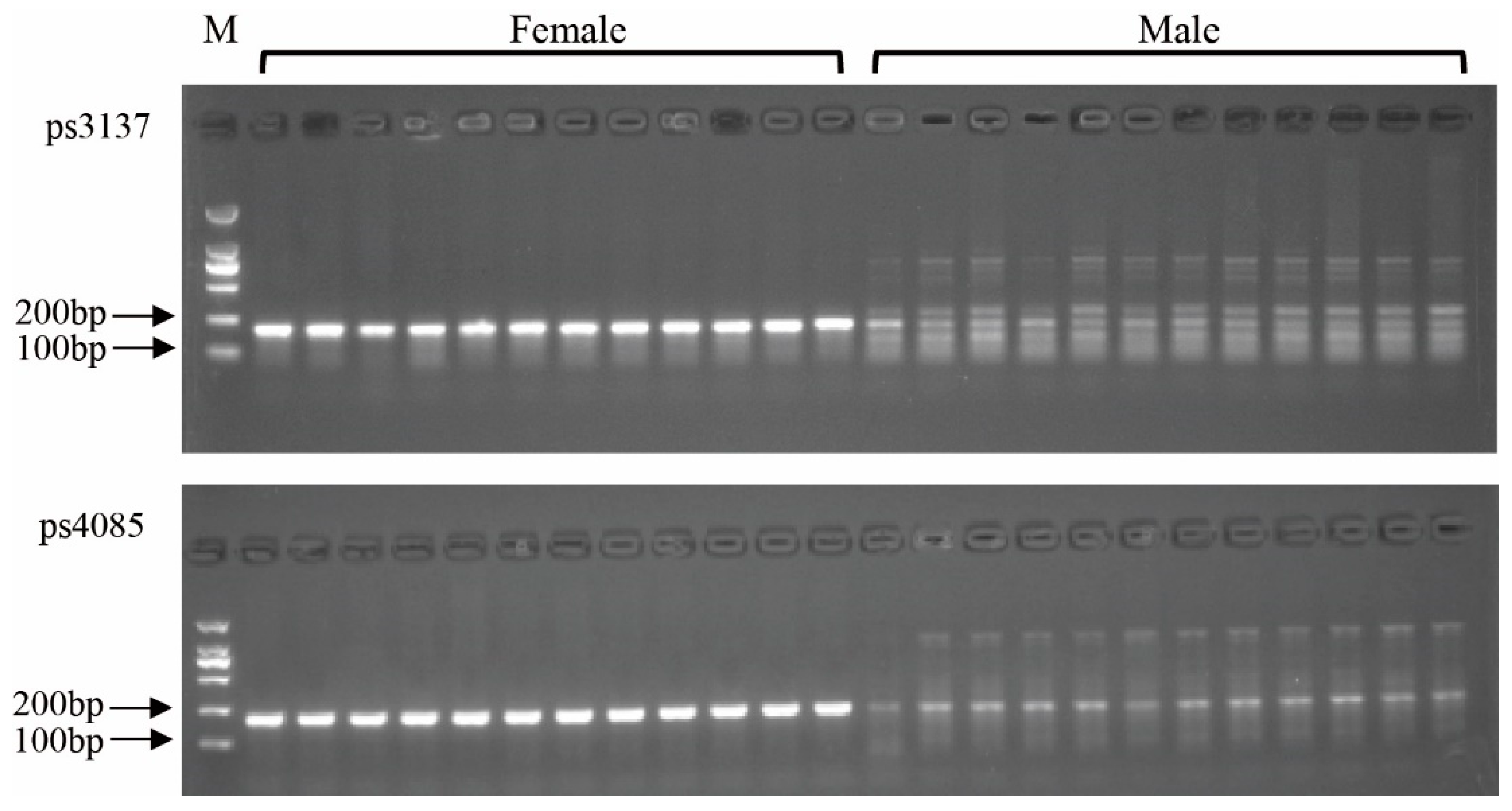 Genes 10 00302 g002
