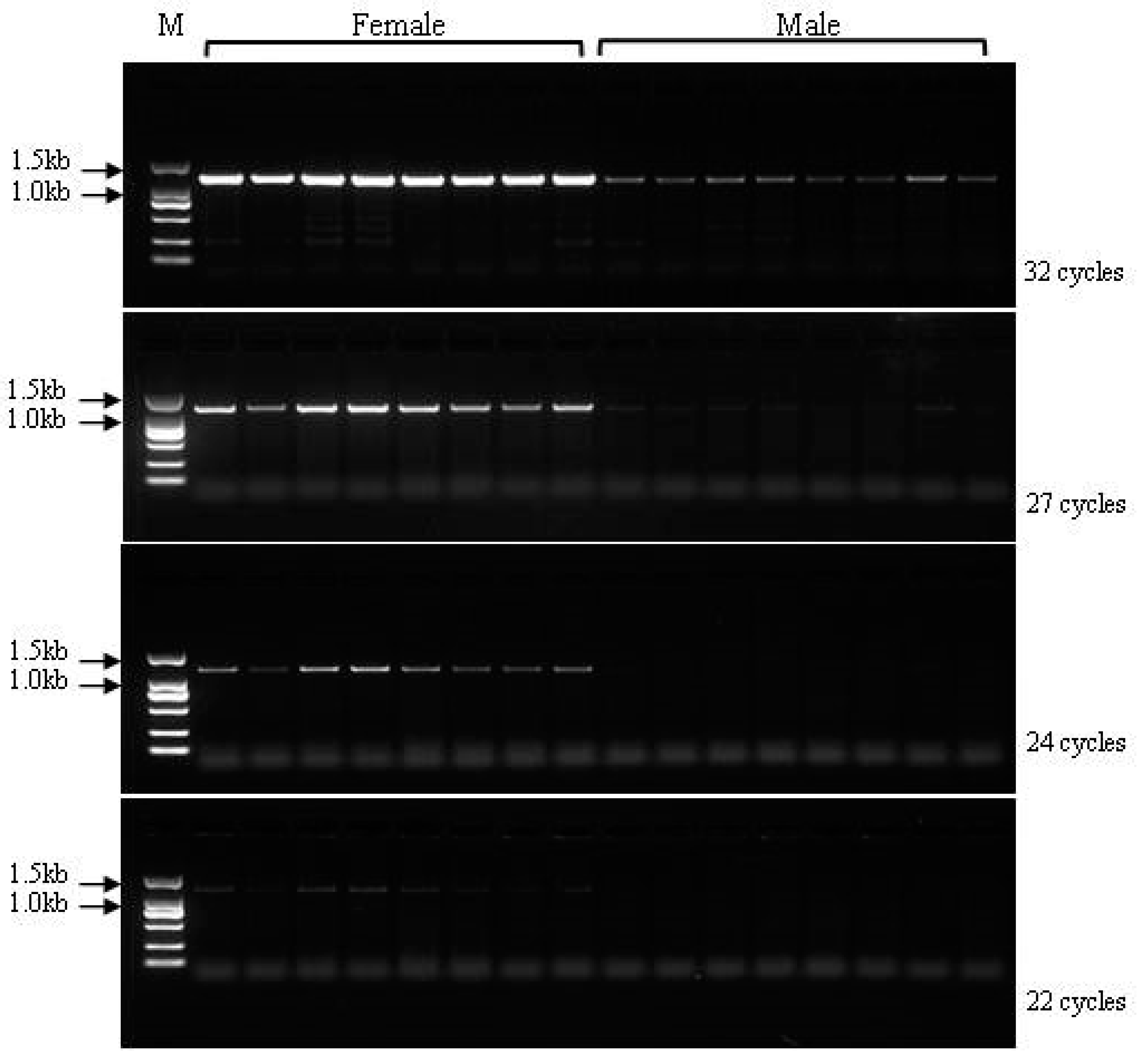 Genes 10 00302 g005