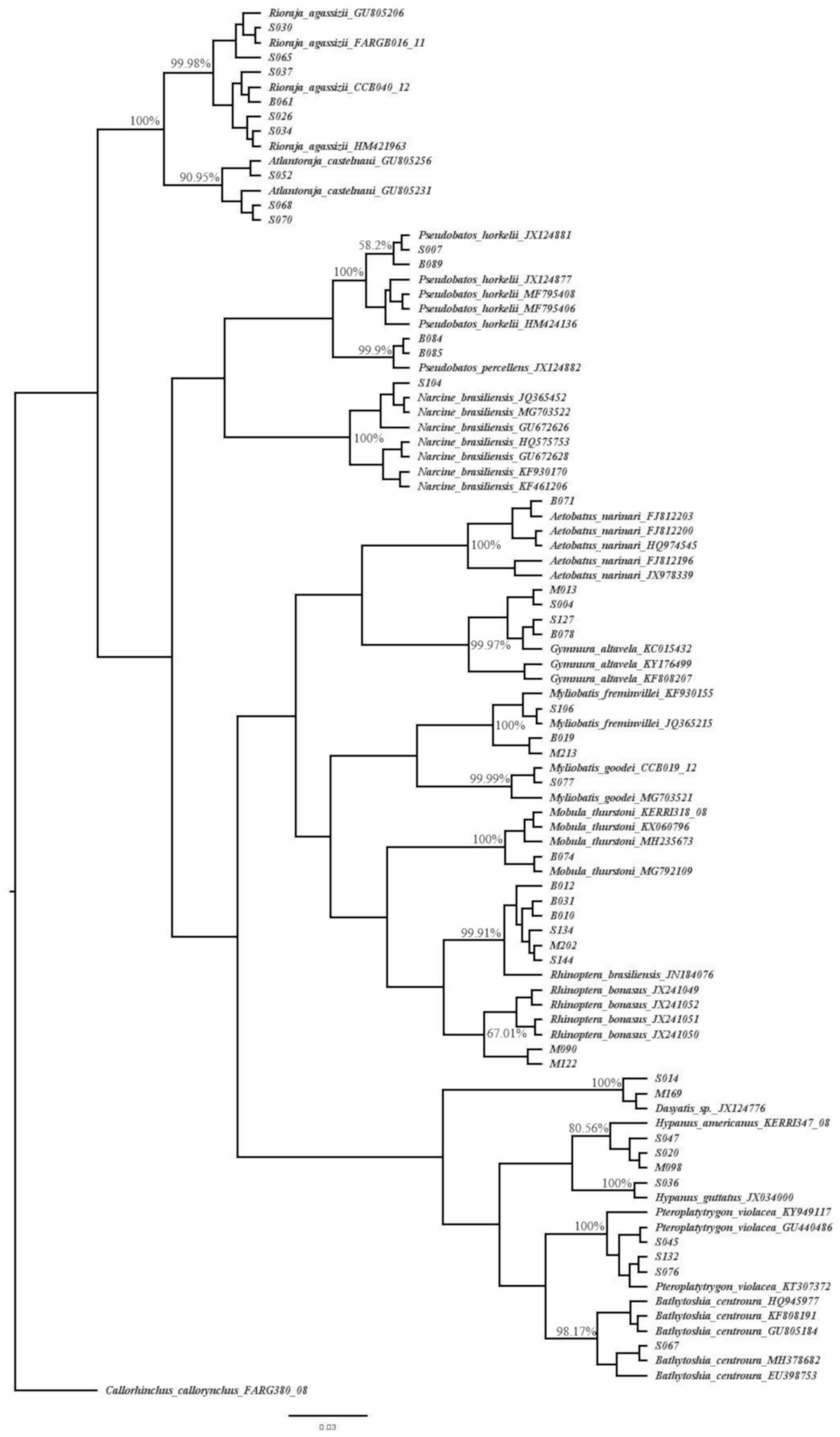Genes 10 00304 g003
