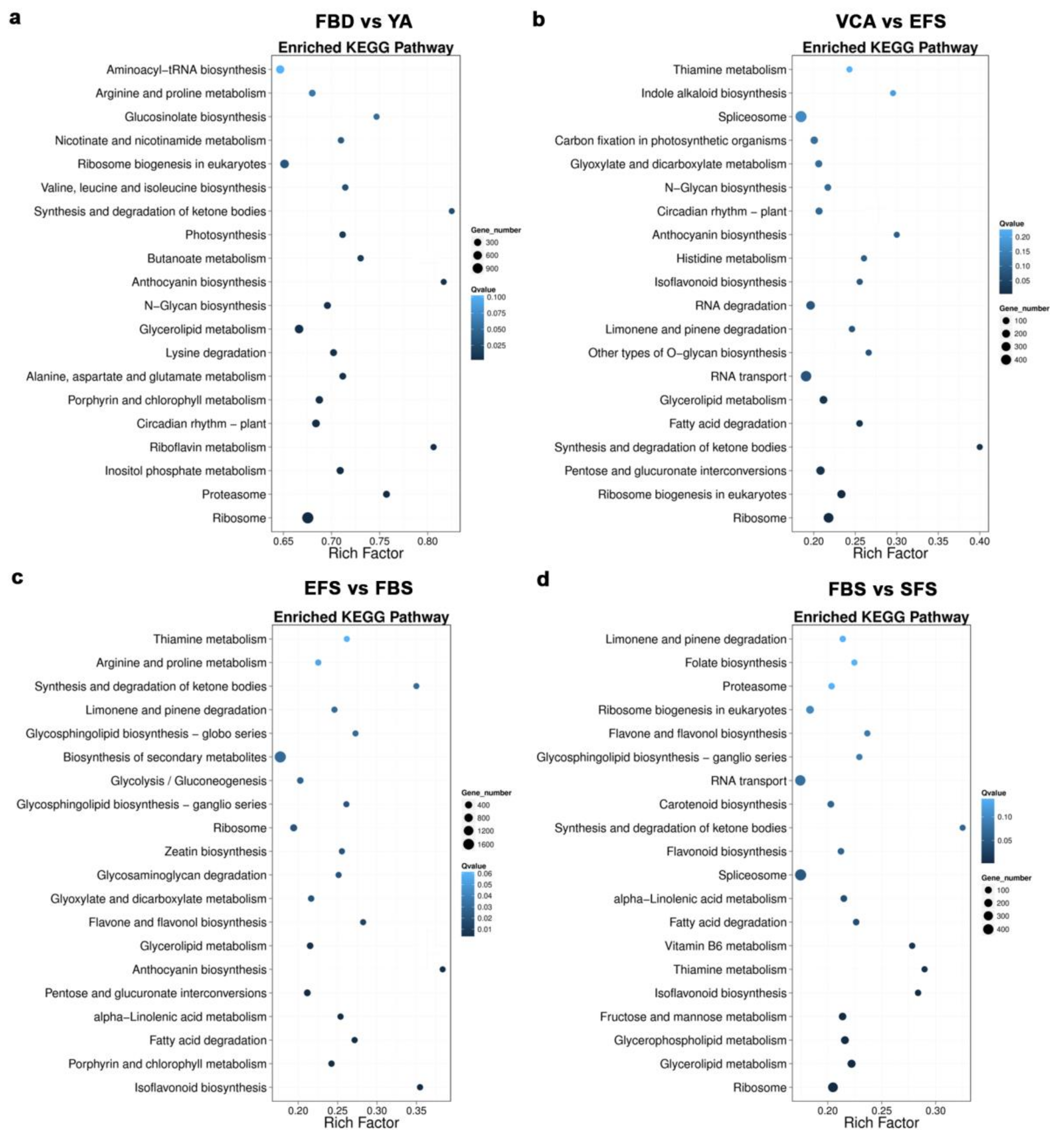 Genes 10 00305 g002