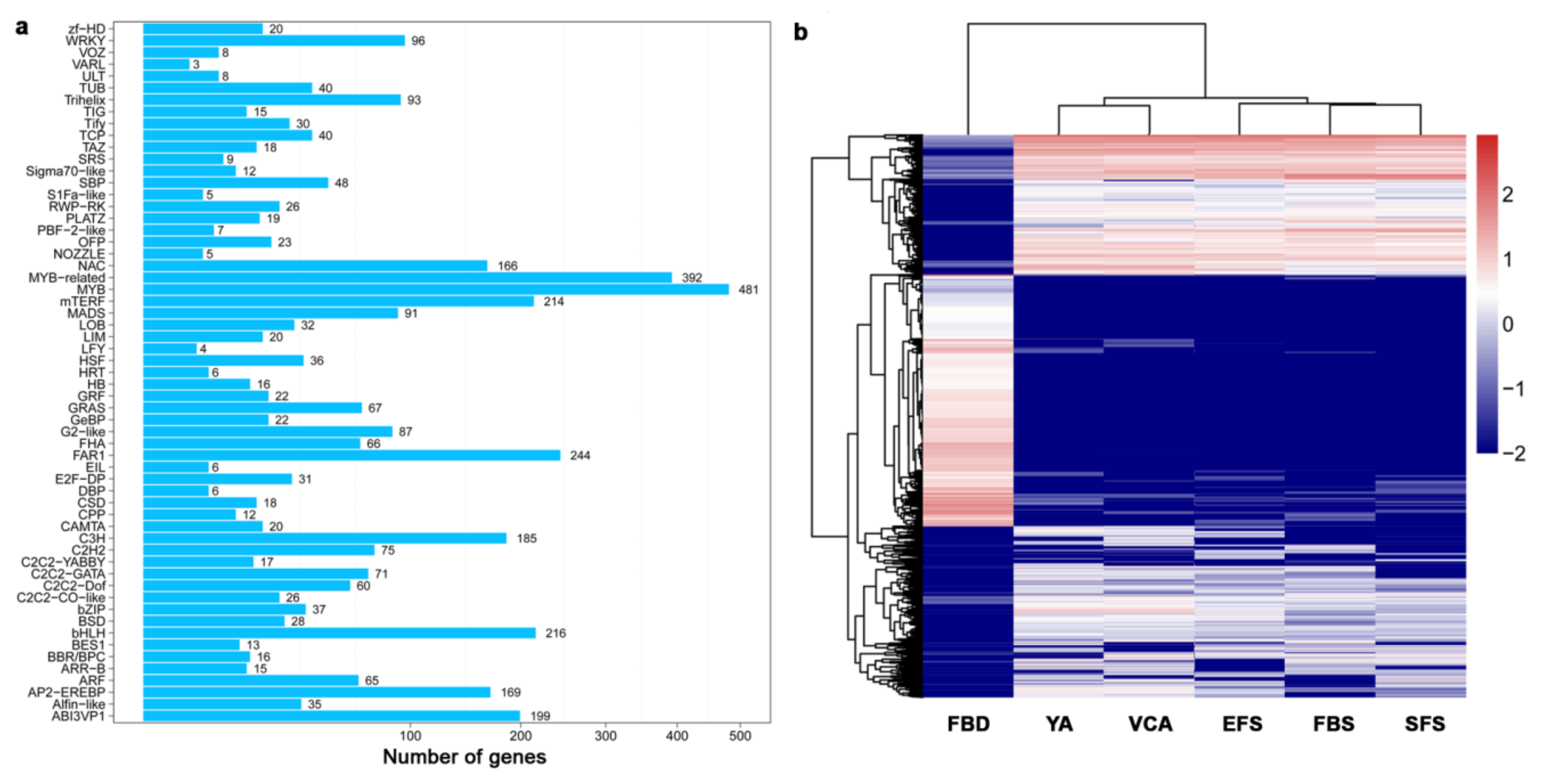 Genes 10 00305 g003