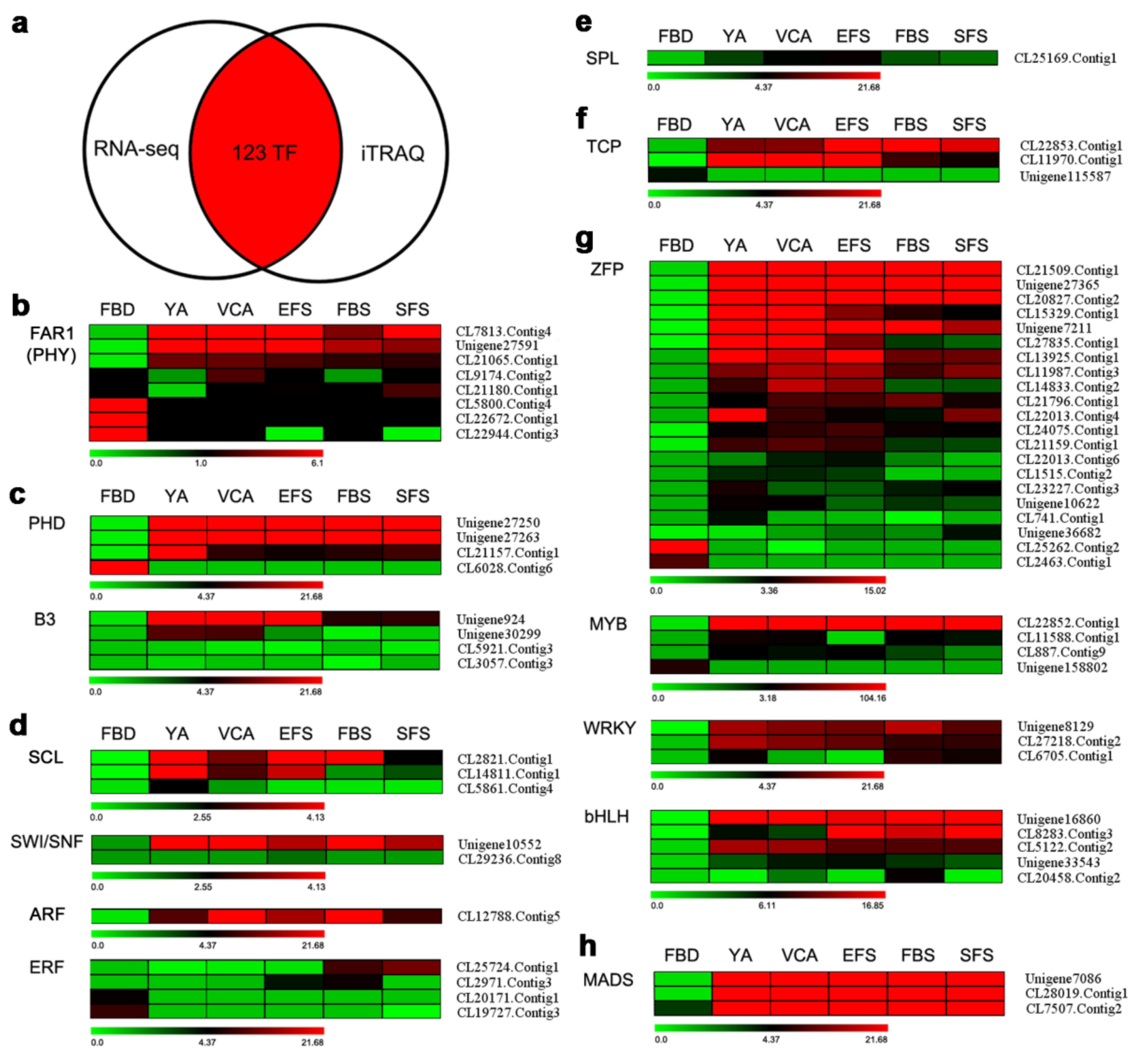 Genes 10 00305 g004