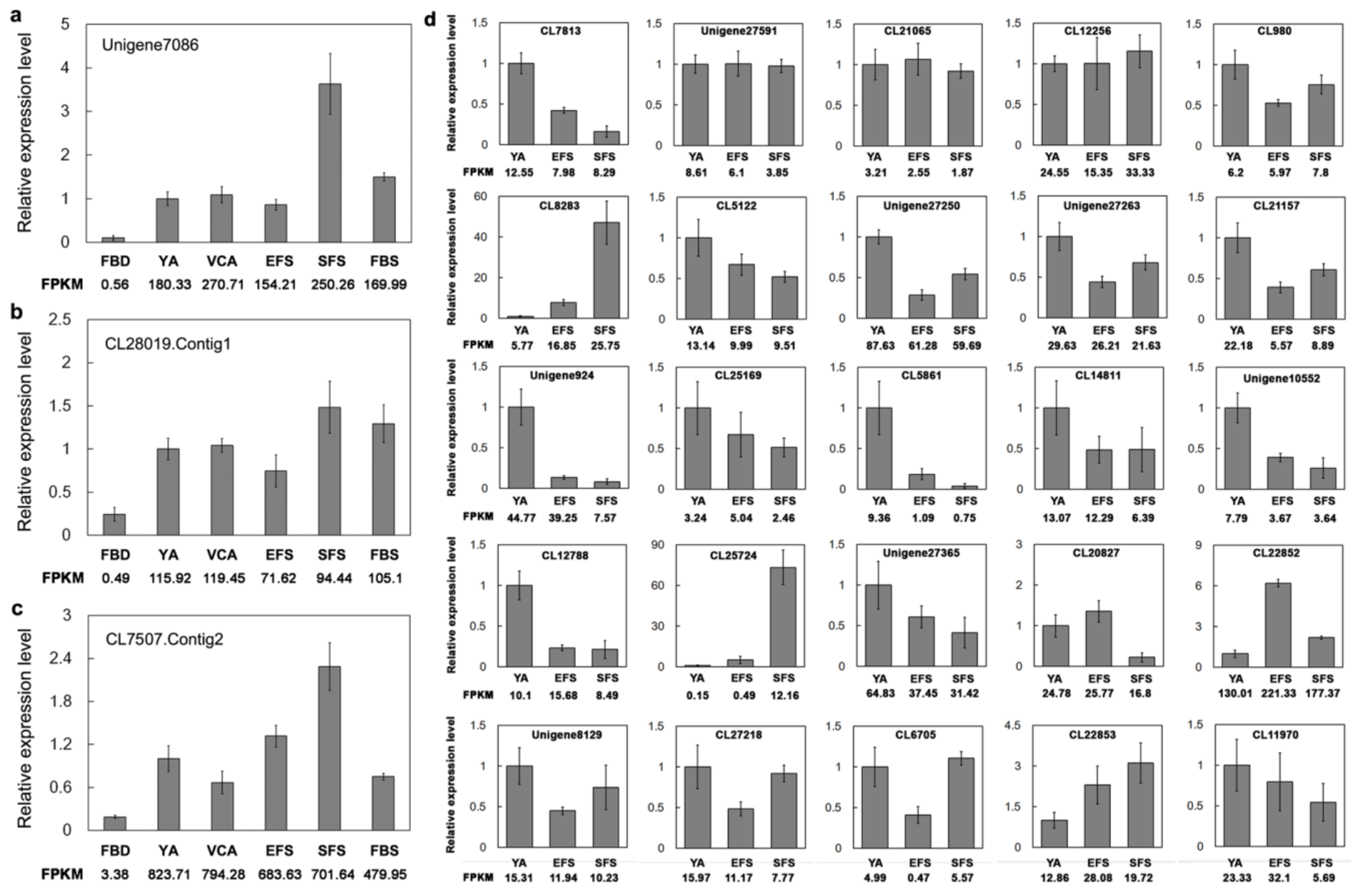 Genes 10 00305 g005