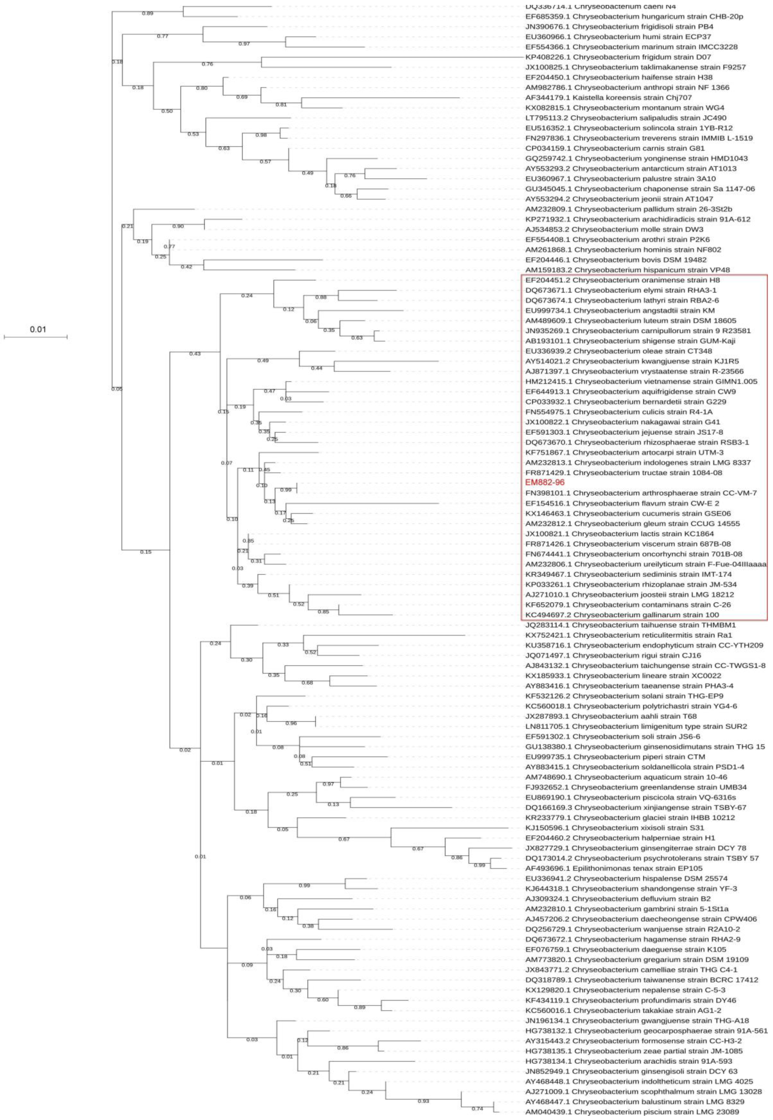 Genes 10 00309 g001