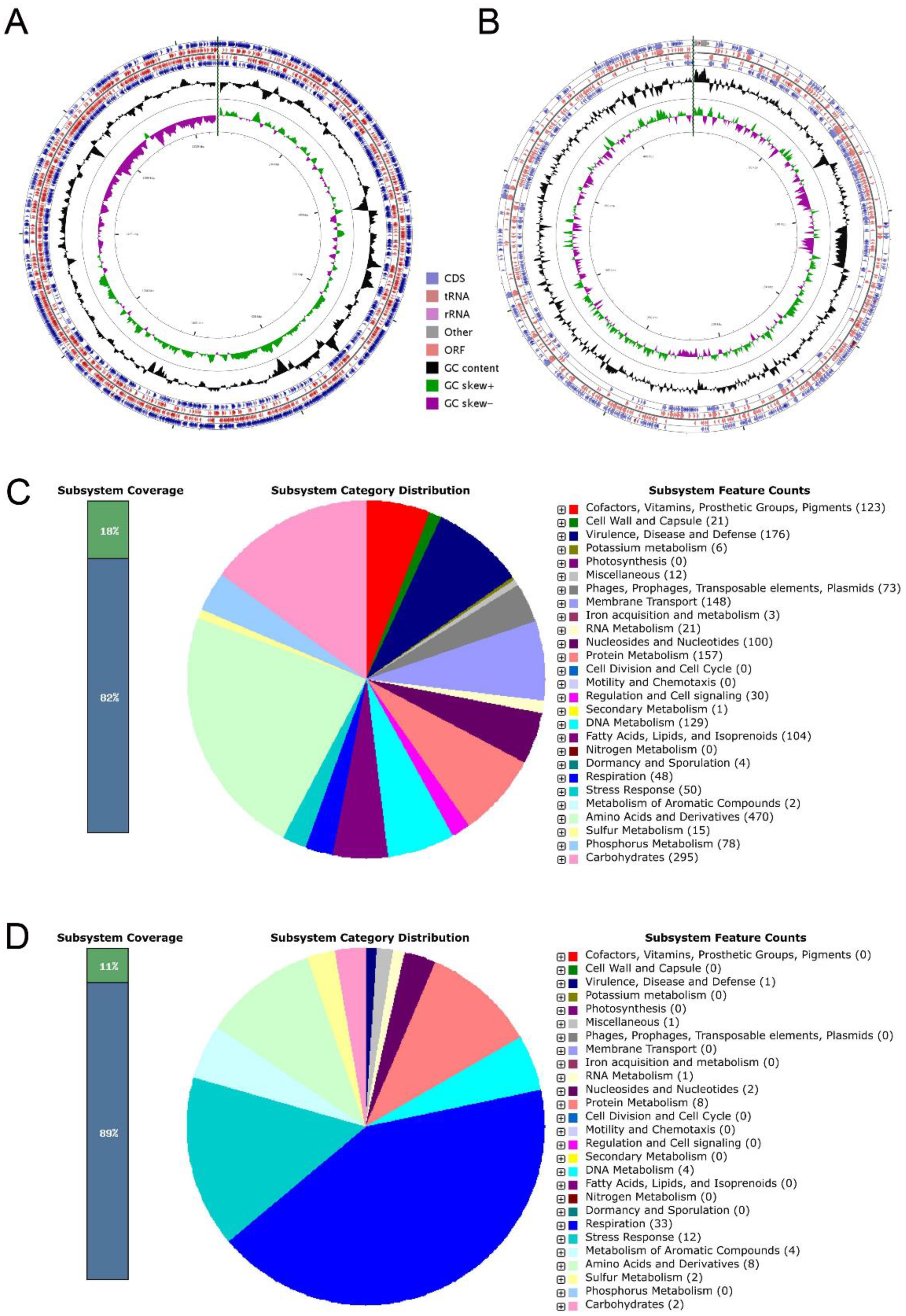 Genes 10 00309 g003
