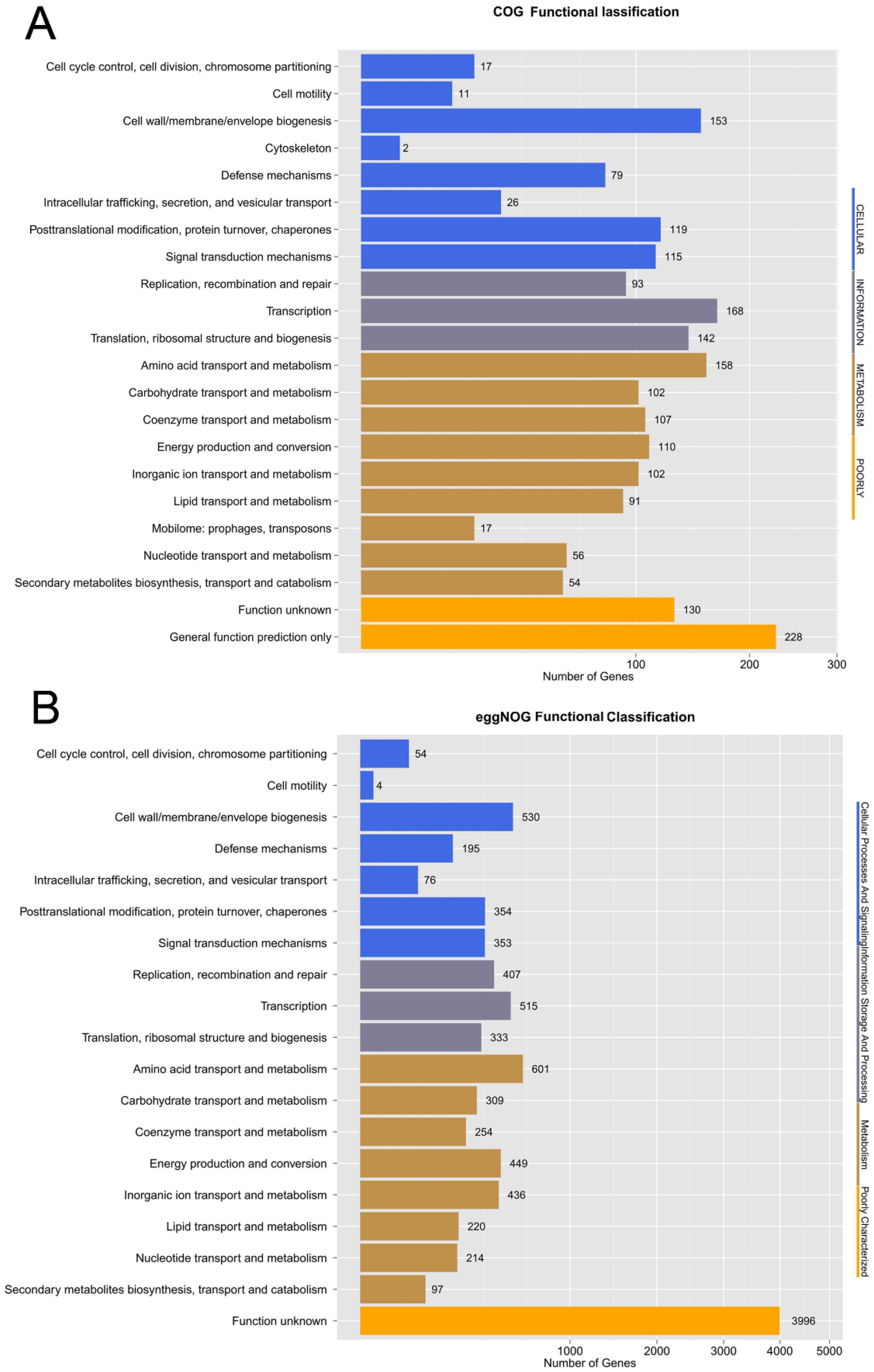 Genes 10 00309 g004a