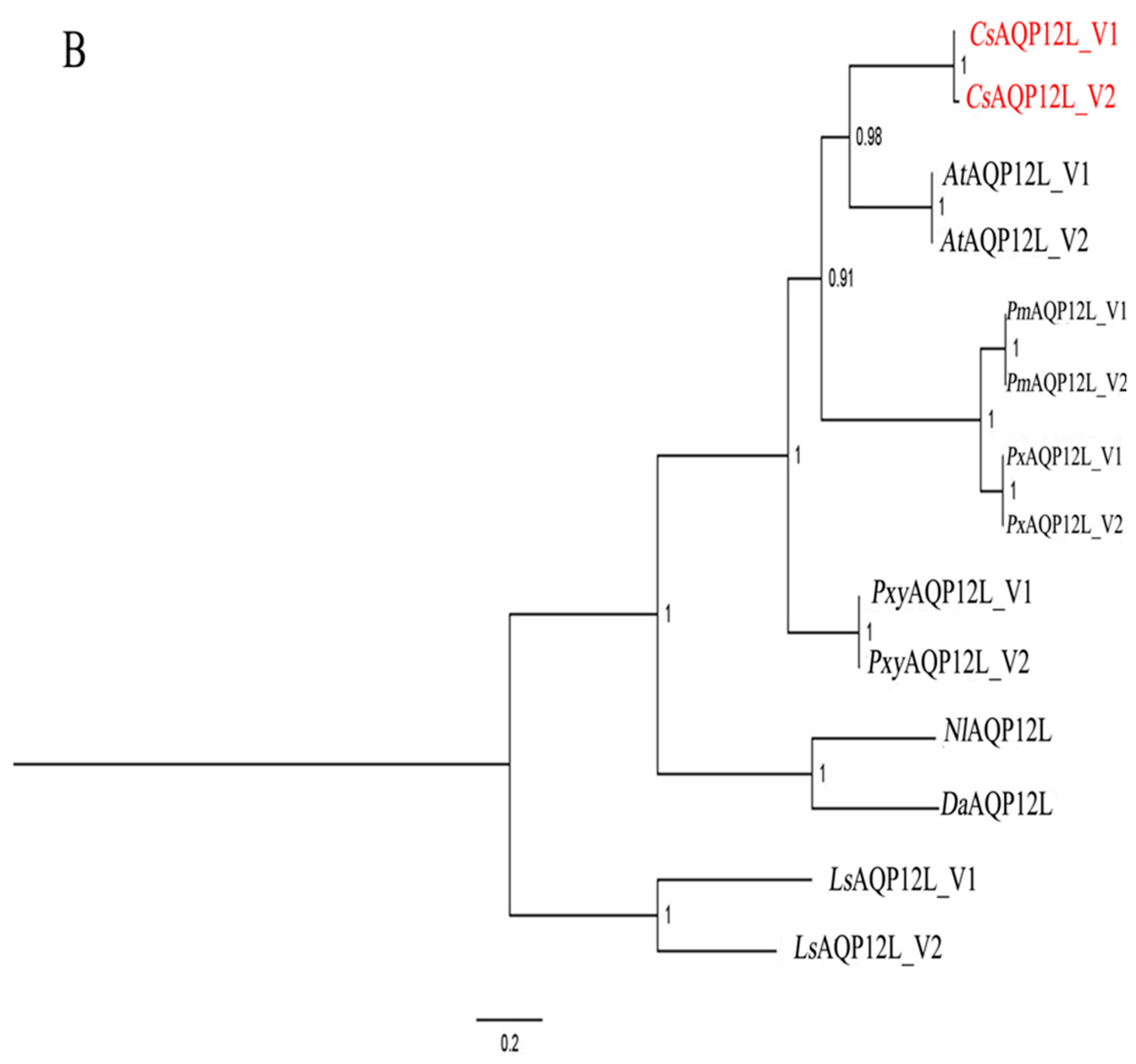 Genes 10 00311 g001b Genes 10 00311 g001b