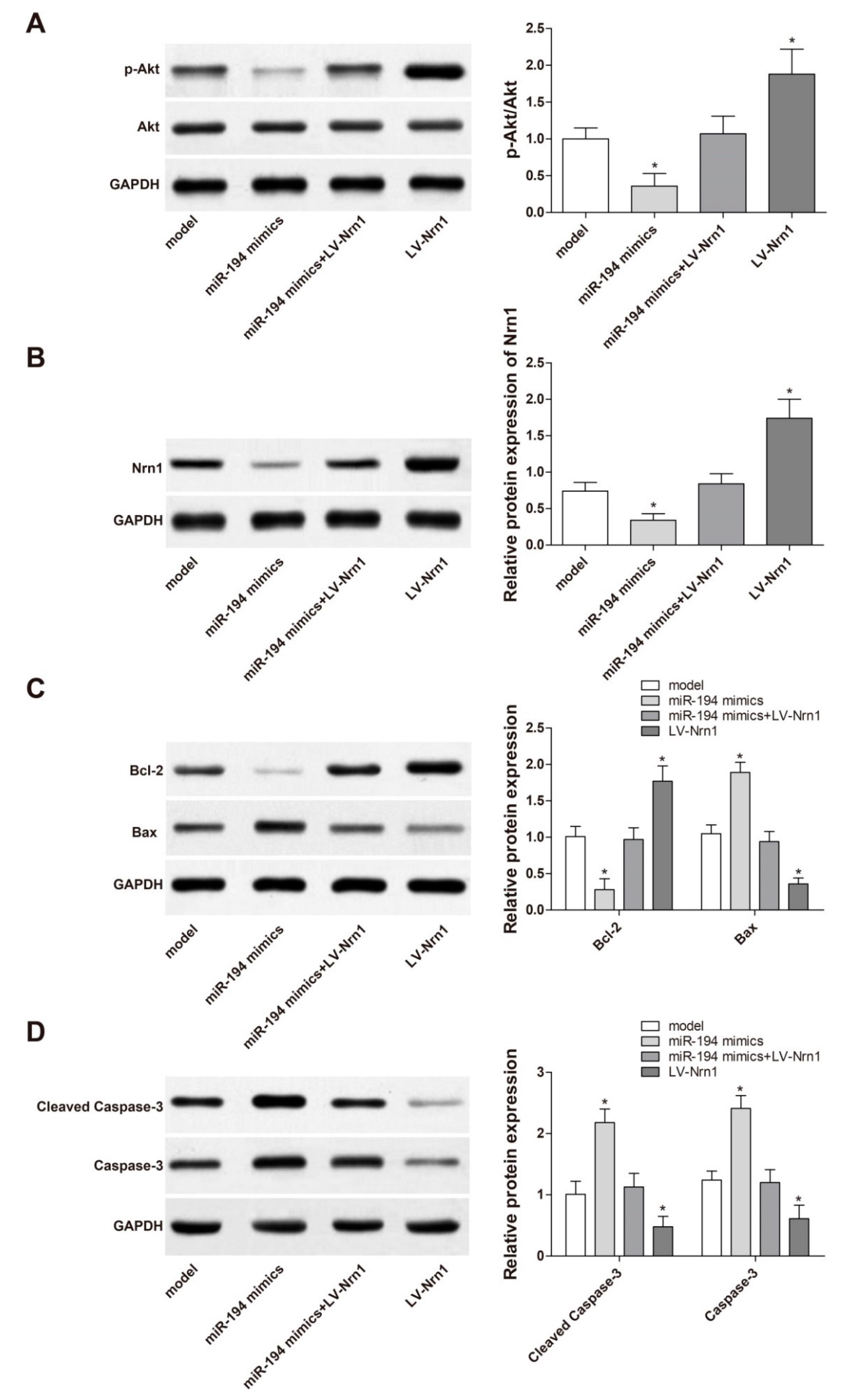 Genes 10 00313 g008
