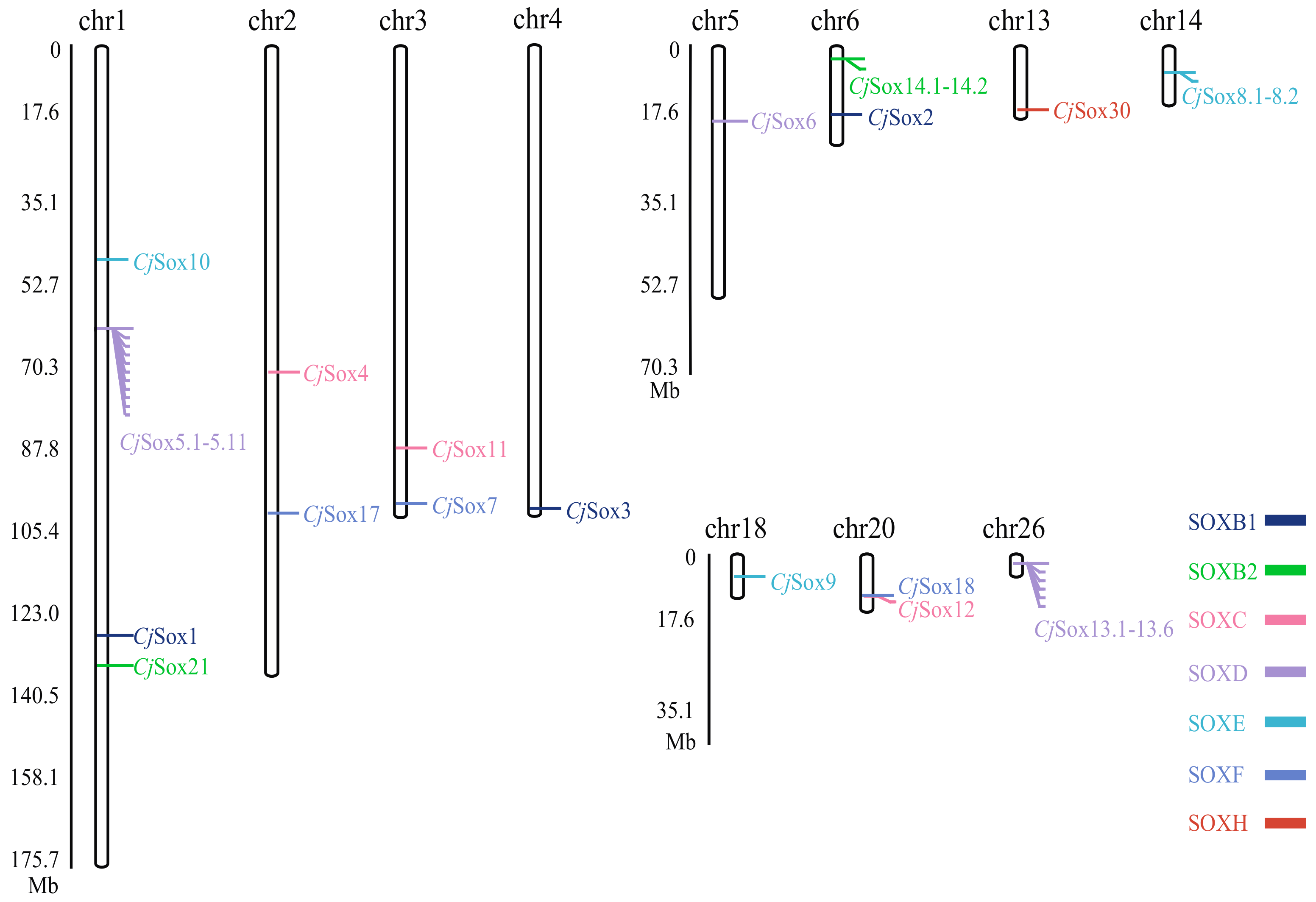 Genes 10 00314 g002