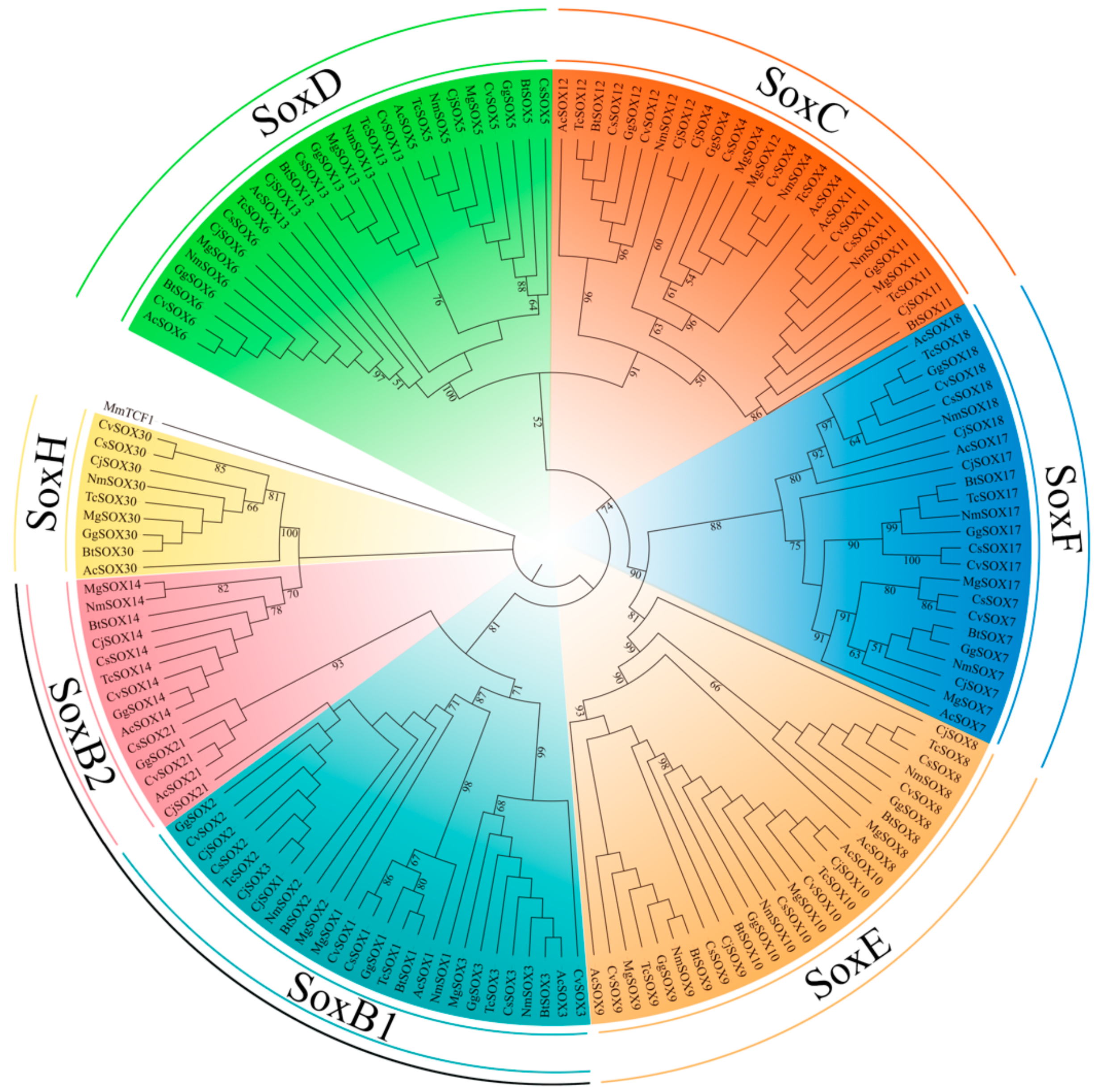 Genes 10 00314 g003