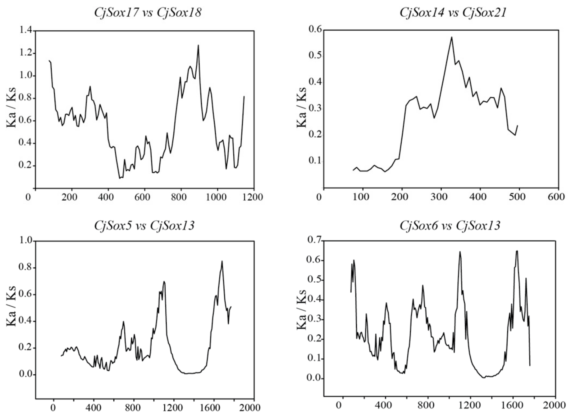 Genes 10 00314 g006