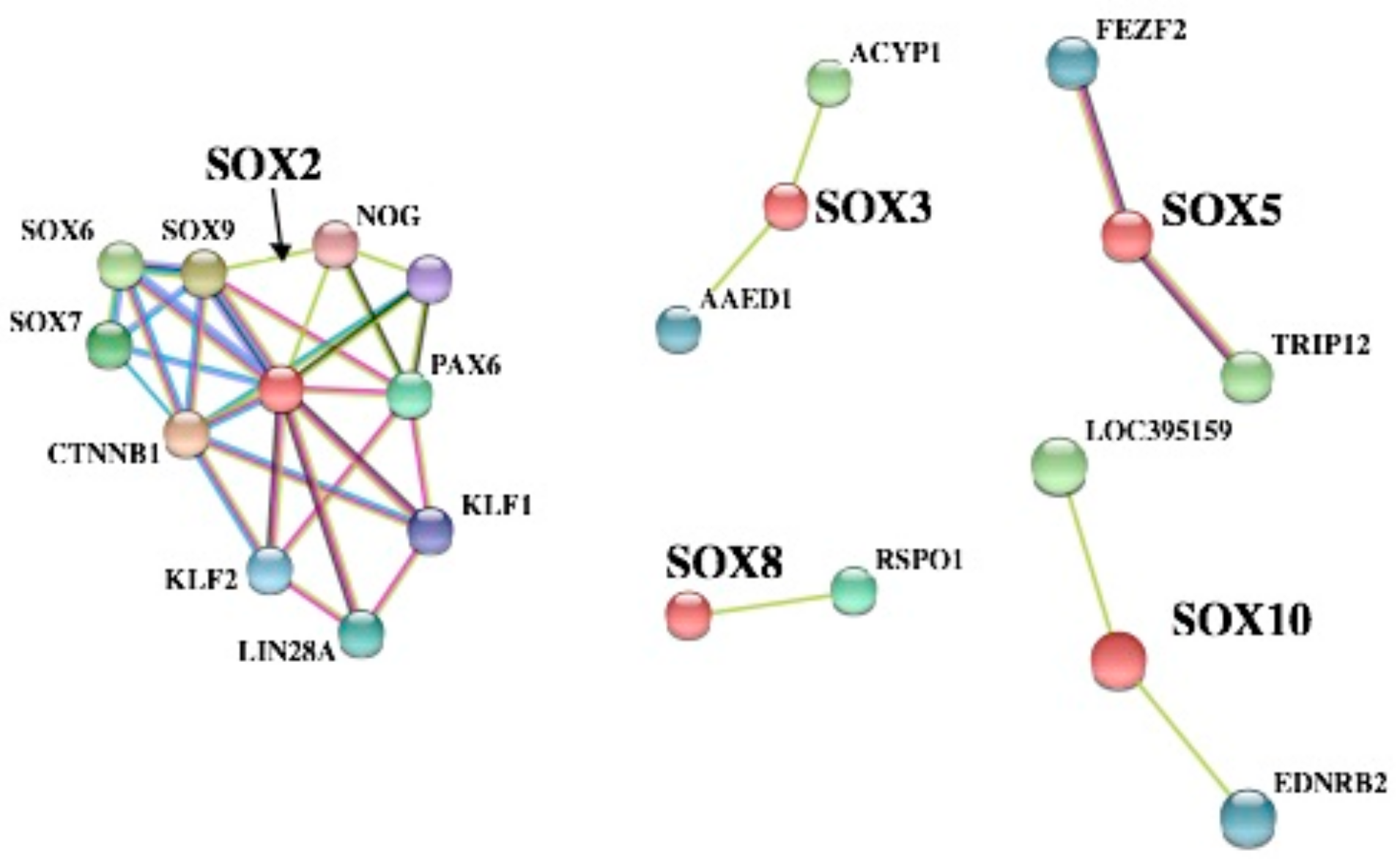 Genes 10 00314 g007