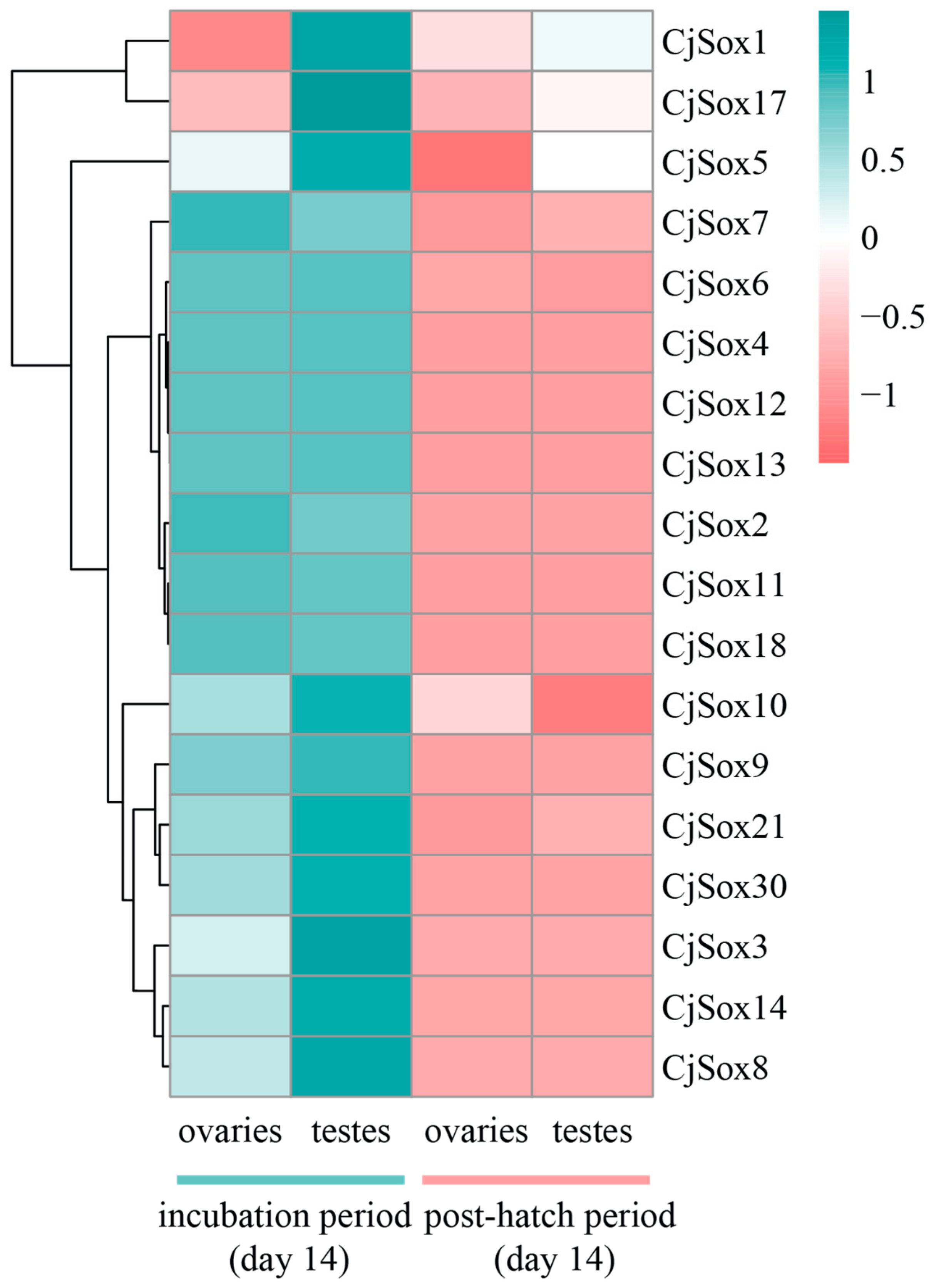 Genes 10 00314 g008
