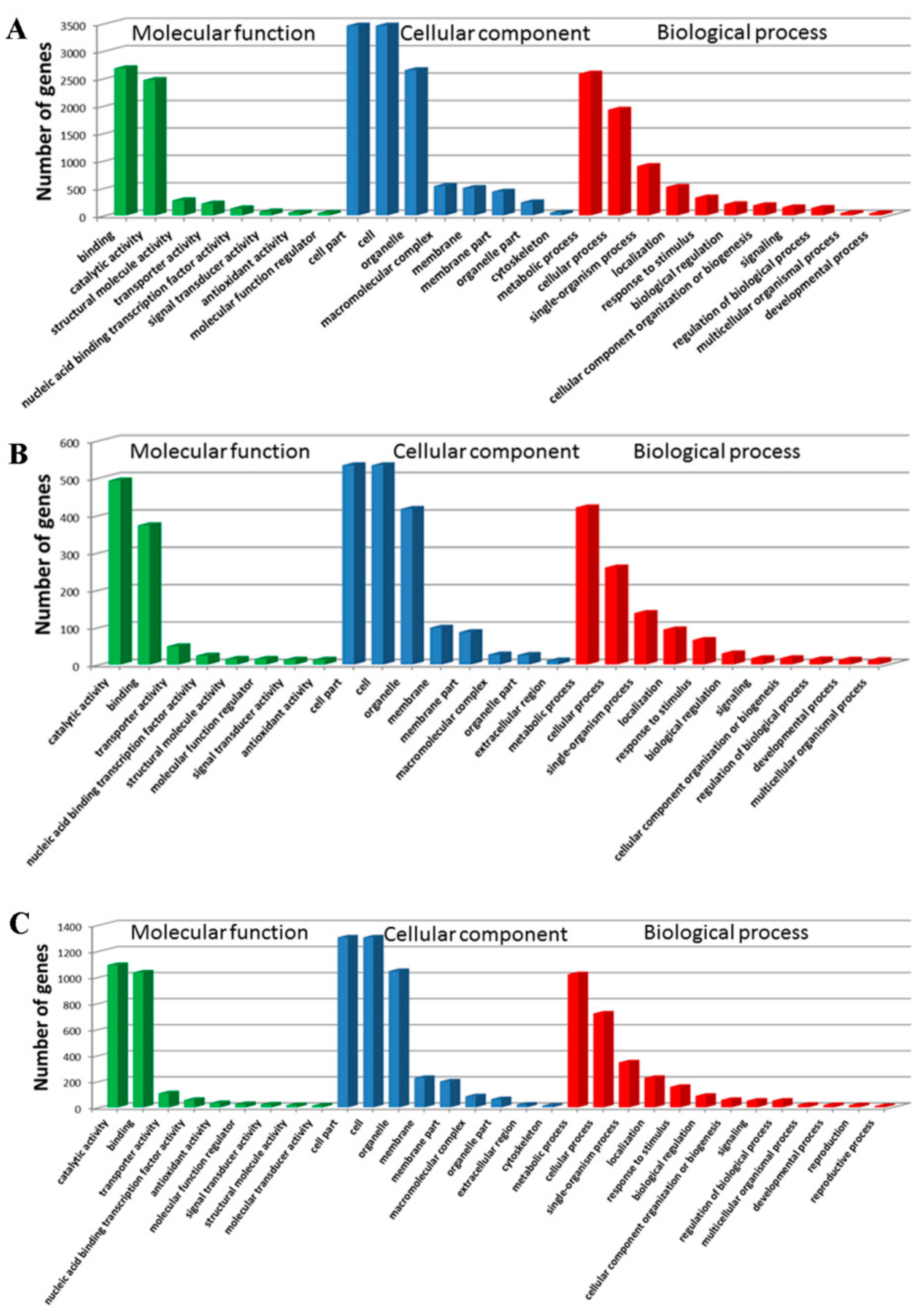 Genes 10 00316 g004