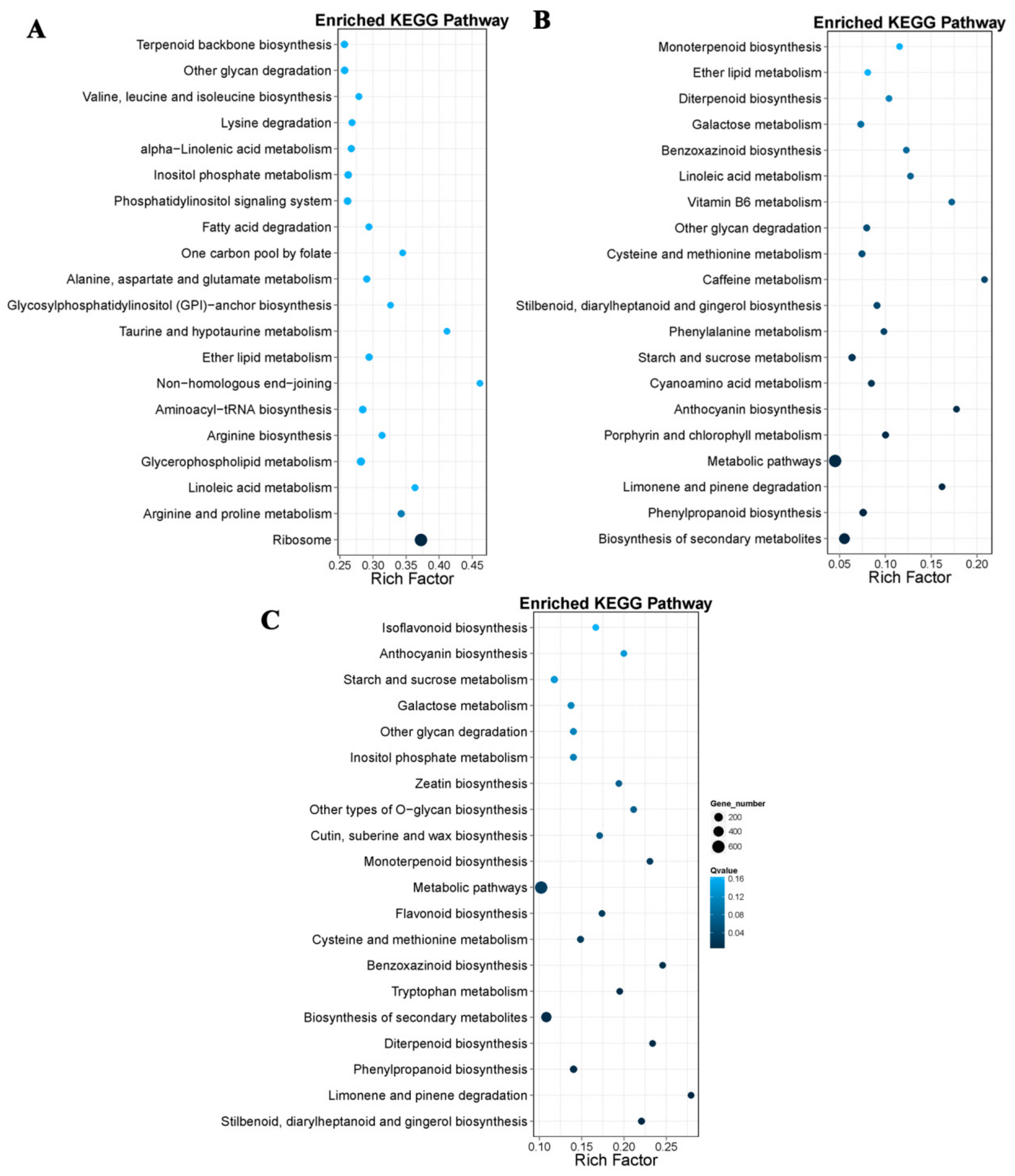 Genes 10 00316 g005