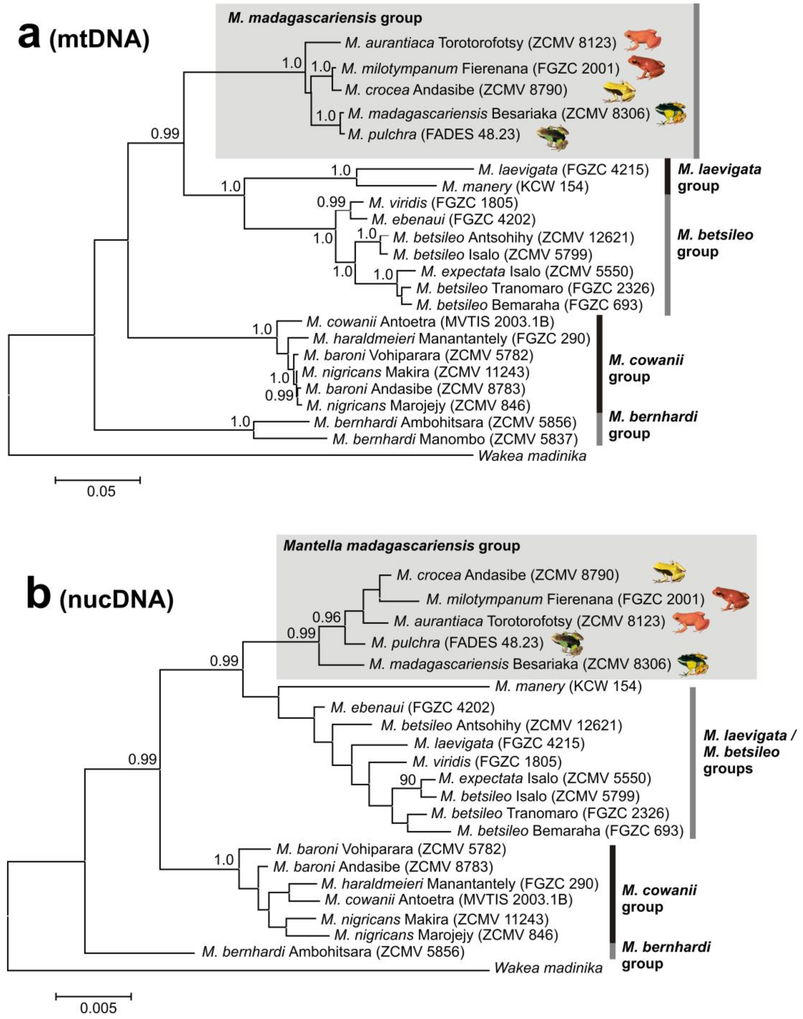 Genes 10 00317 g002